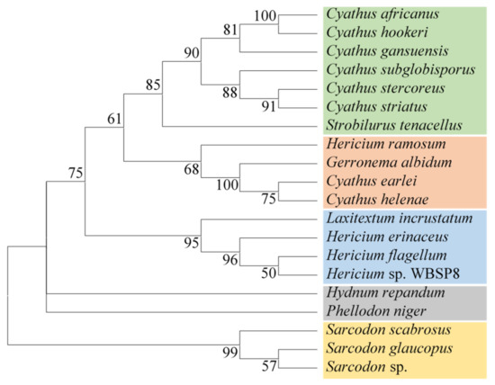 Diterpenes Specially Produced by Fungi: Structures