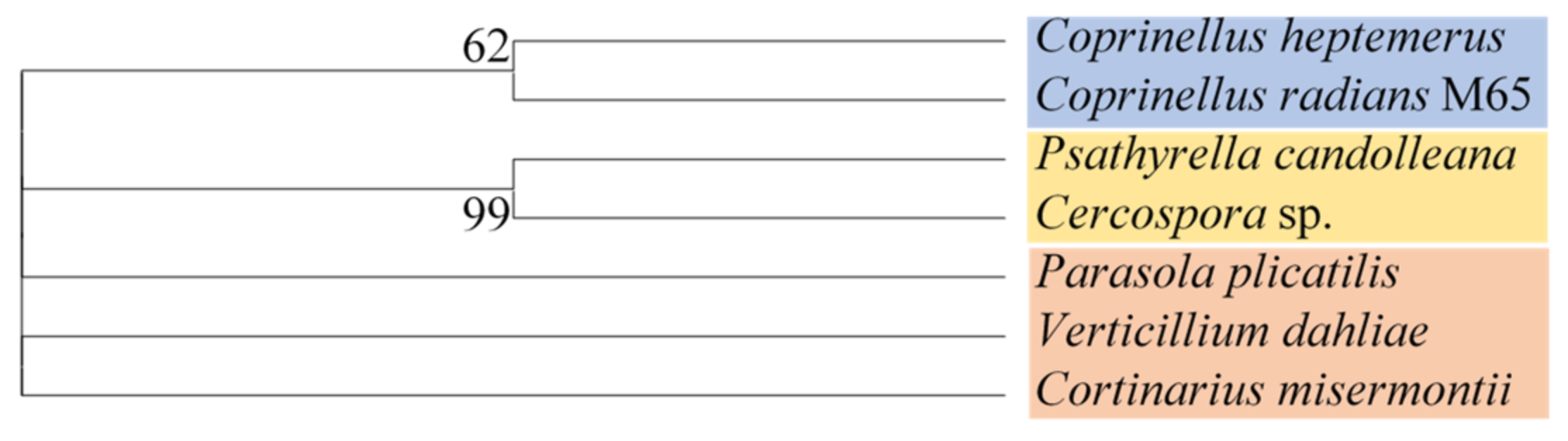 Jof 08 00244 g004 Jof 08 00244 g004