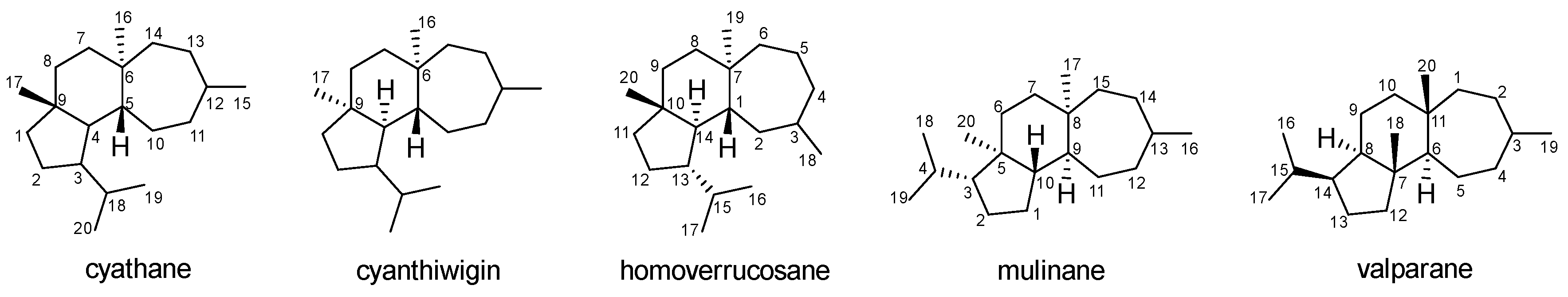 Jof 08 00244 i001 Jof 08 00244 i001