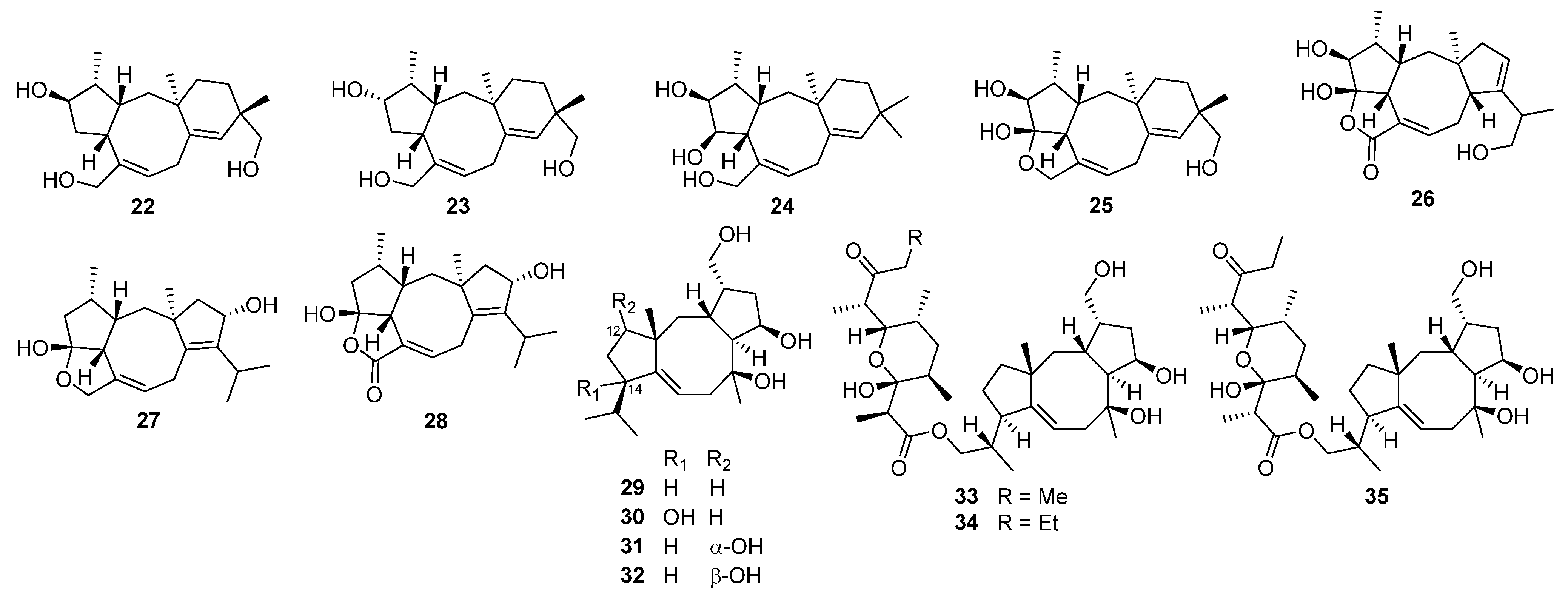 Jof 08 00244 i004 Jof 08 00244 i004
