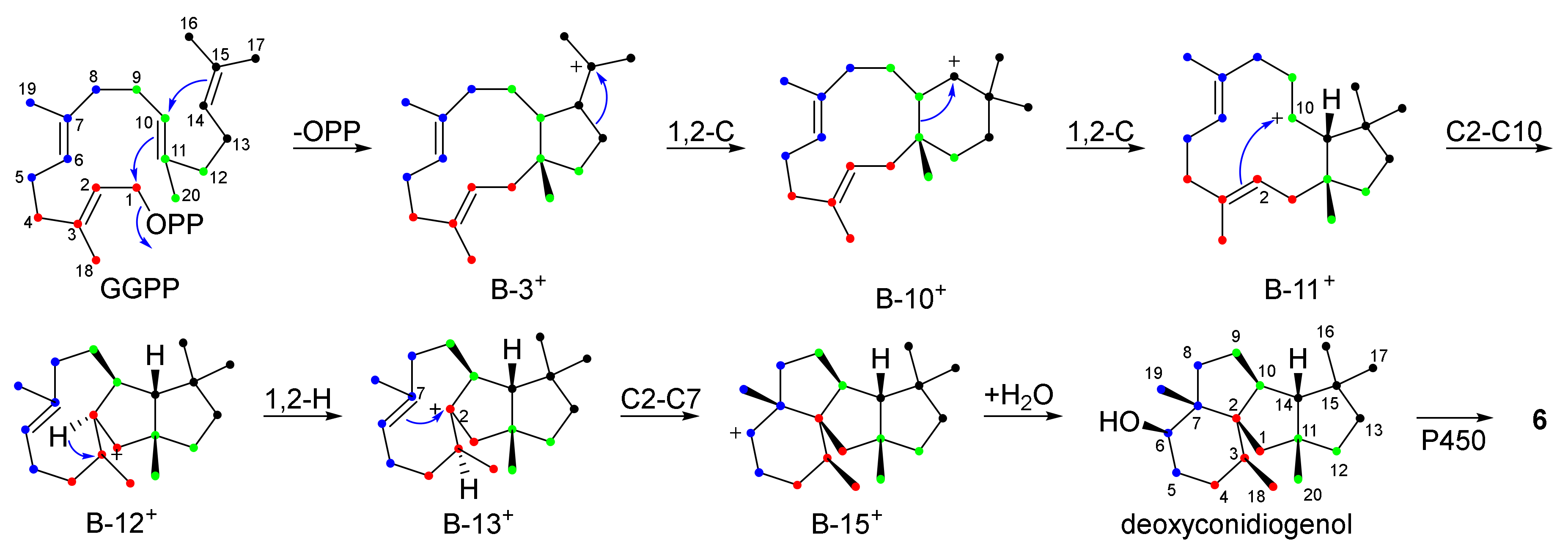 Jof 08 00244 sch002 Jof 08 00244 sch002
