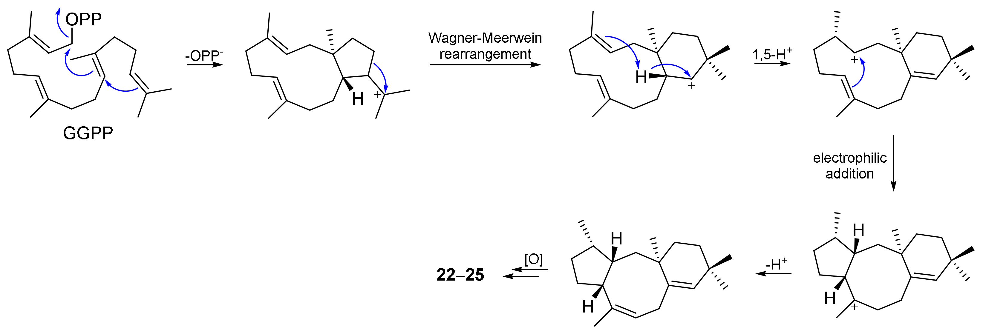 Jof 08 00244 sch003 Jof 08 00244 sch003