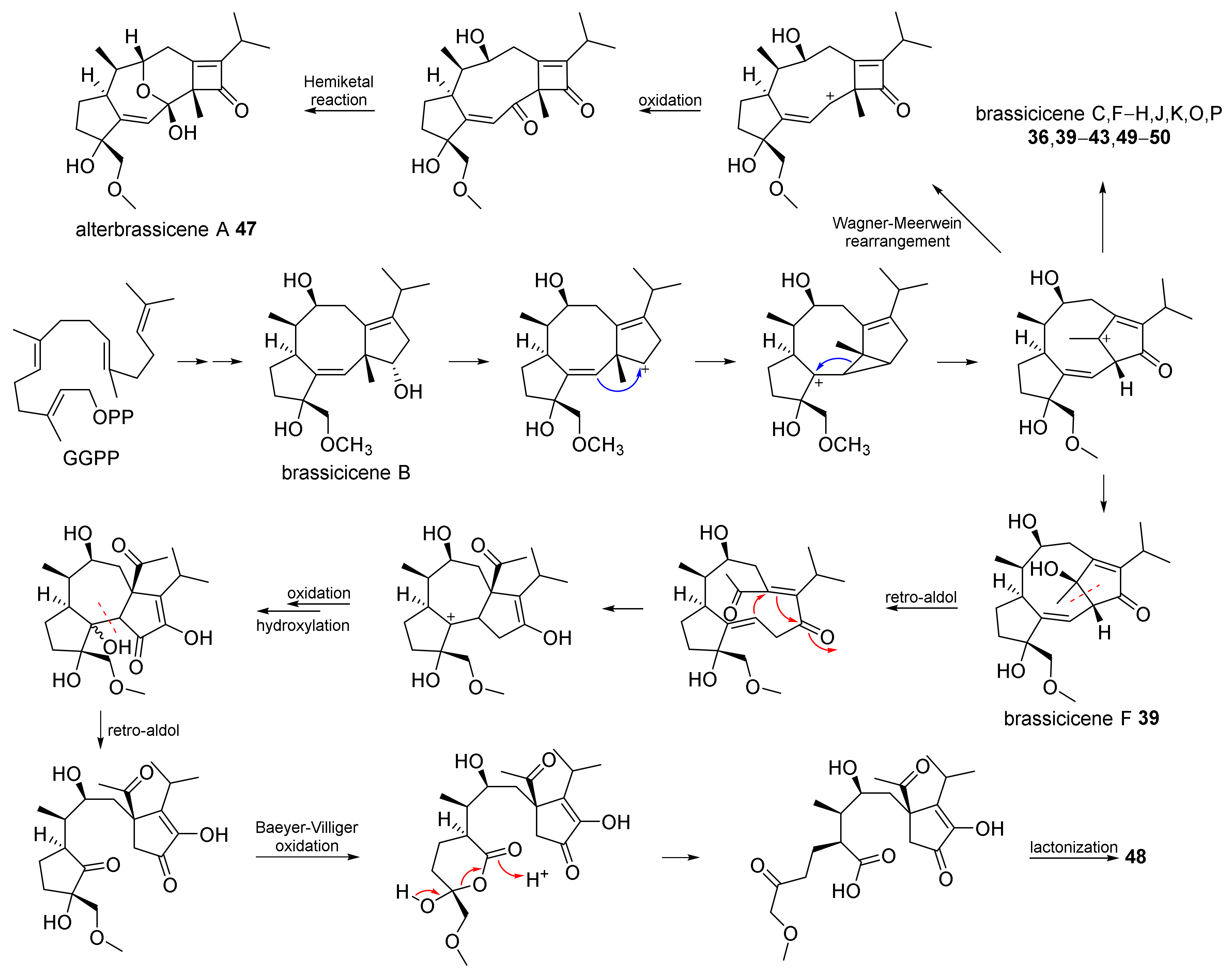 Jof 08 00244 sch004 Jof 08 00244 sch004