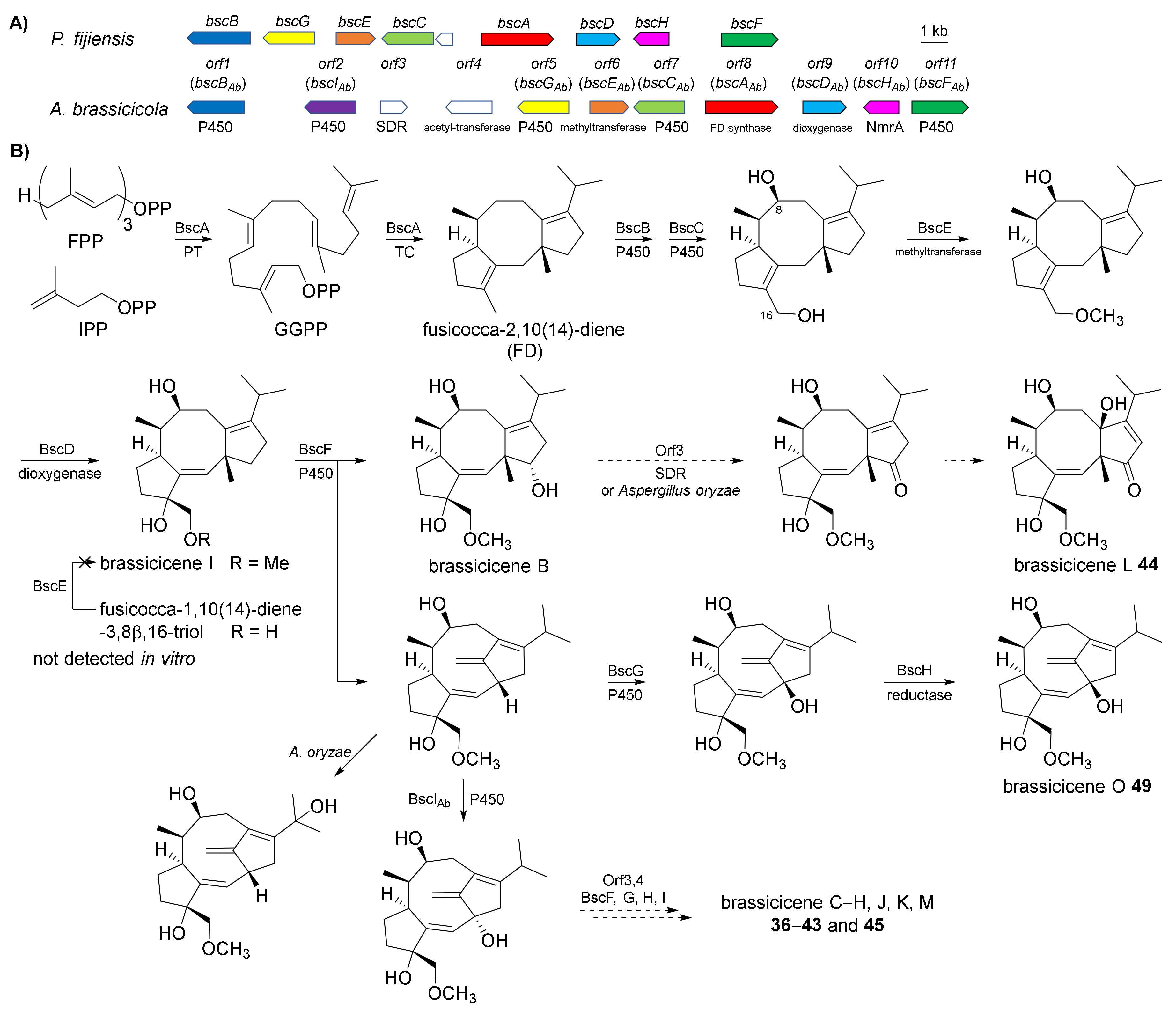 Jof 08 00244 sch005 Jof 08 00244 sch005