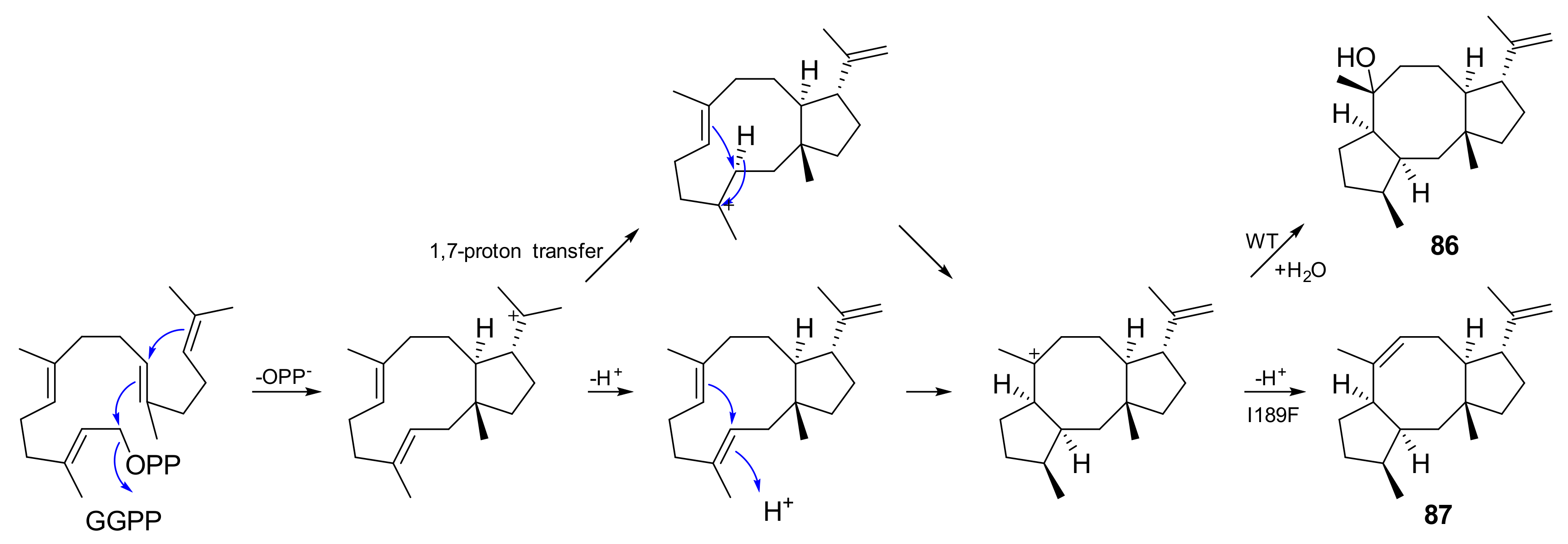 Jof 08 00244 sch006 Jof 08 00244 sch006