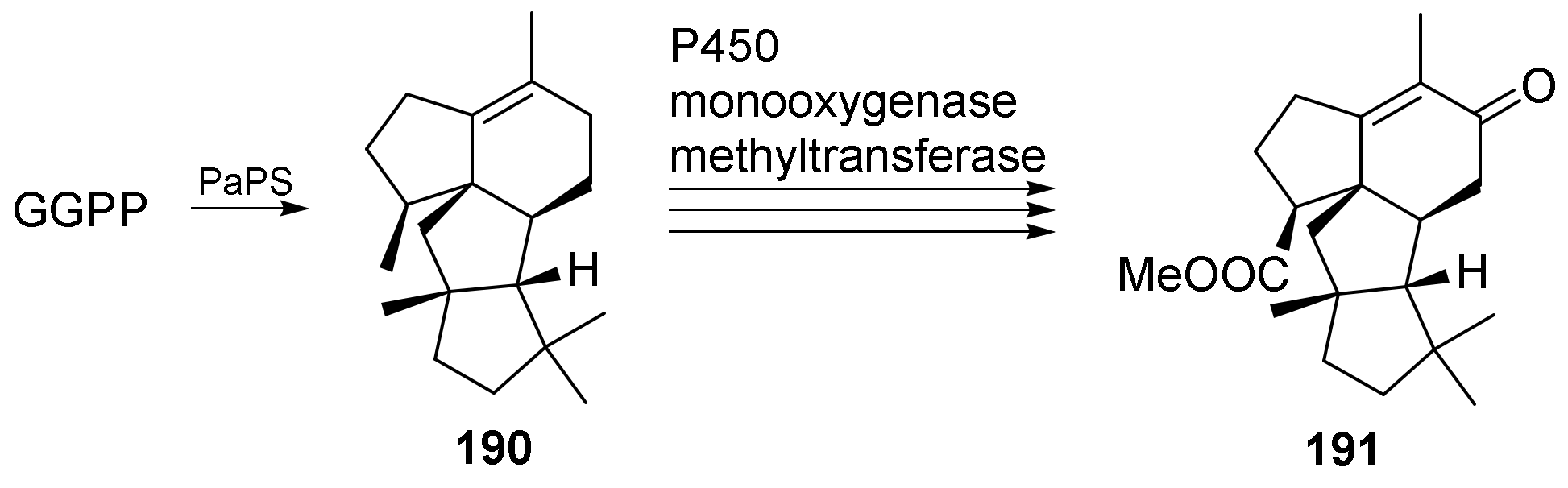 Jof 08 00244 sch008 Jof 08 00244 sch008