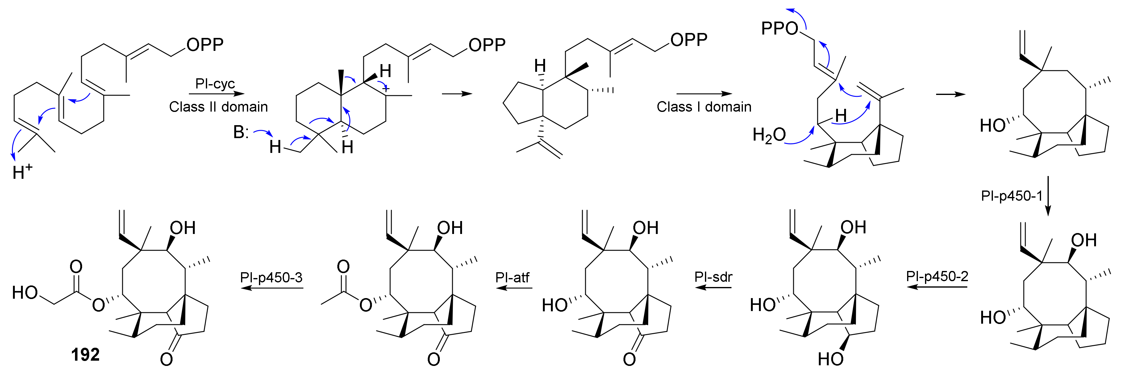 Jof 08 00244 sch010 Jof 08 00244 sch010
