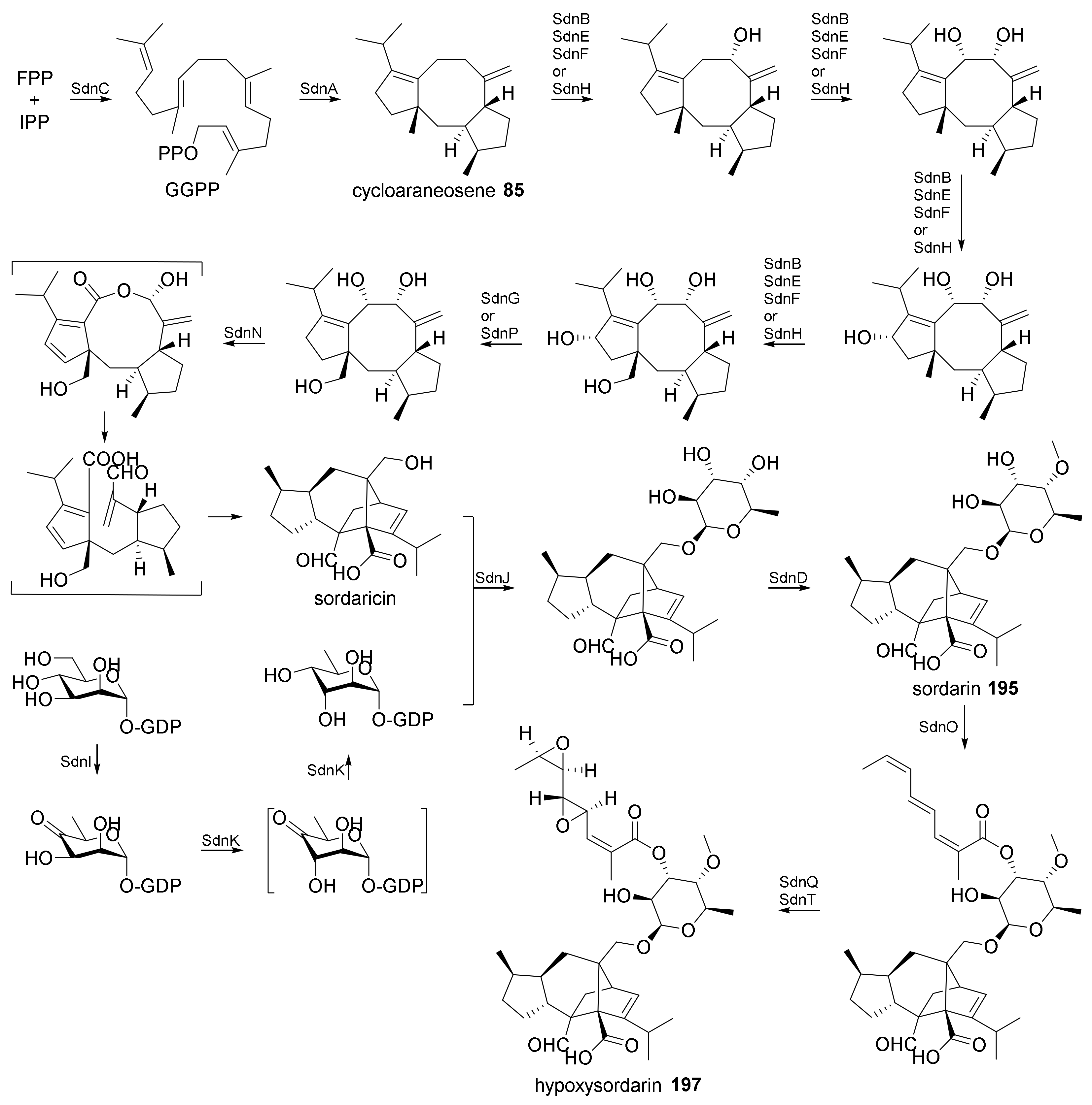 Jof 08 00244 sch011 Jof 08 00244 sch011