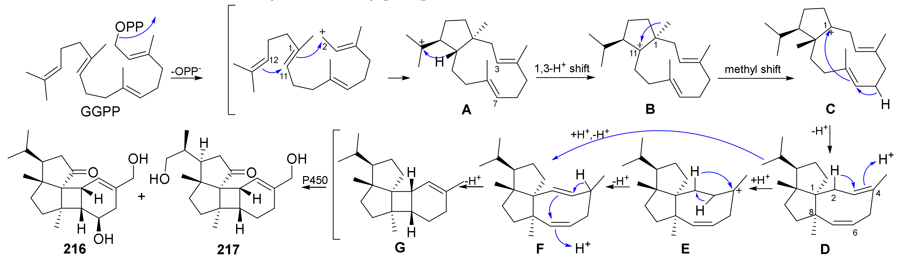 Jof 08 00244 sch012 Jof 08 00244 sch012