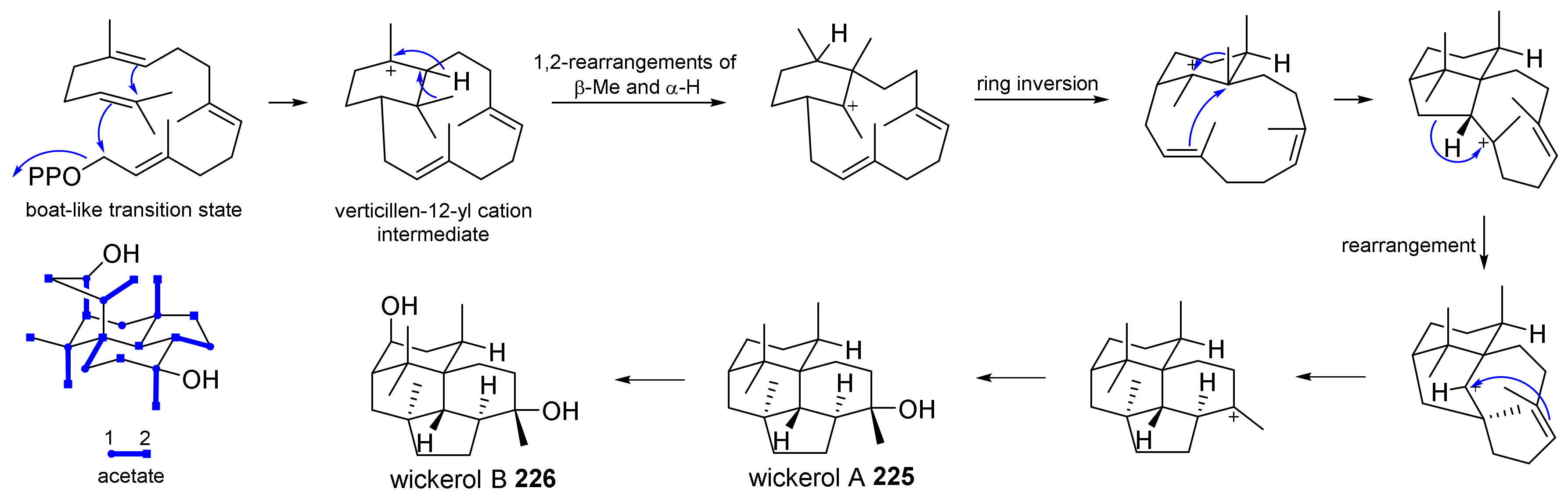 Jof 08 00244 sch014 Jof 08 00244 sch014