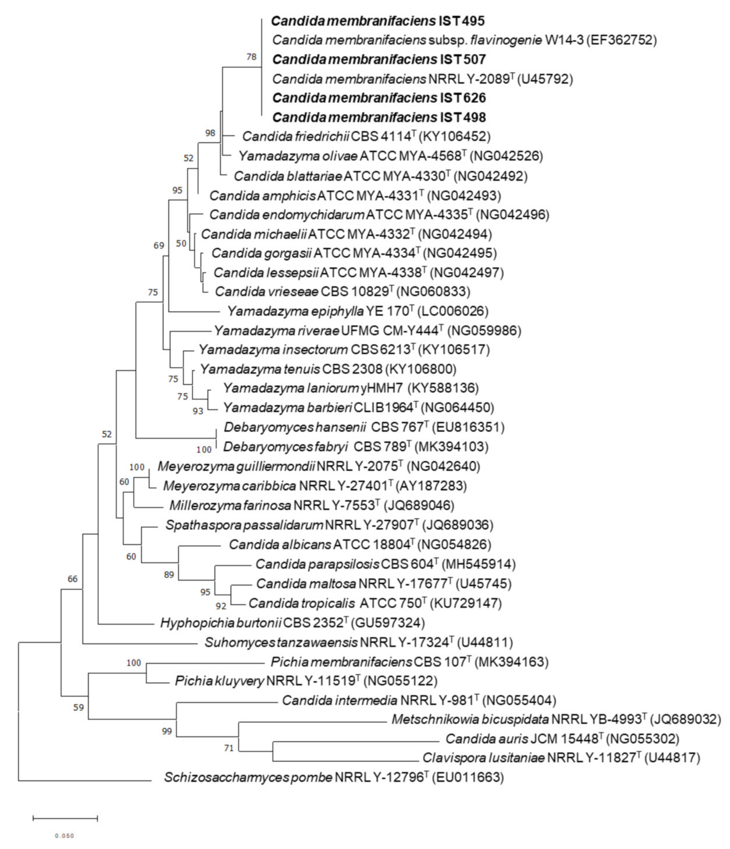 Jof 08 00254 g001 Jof 08 00254 g001