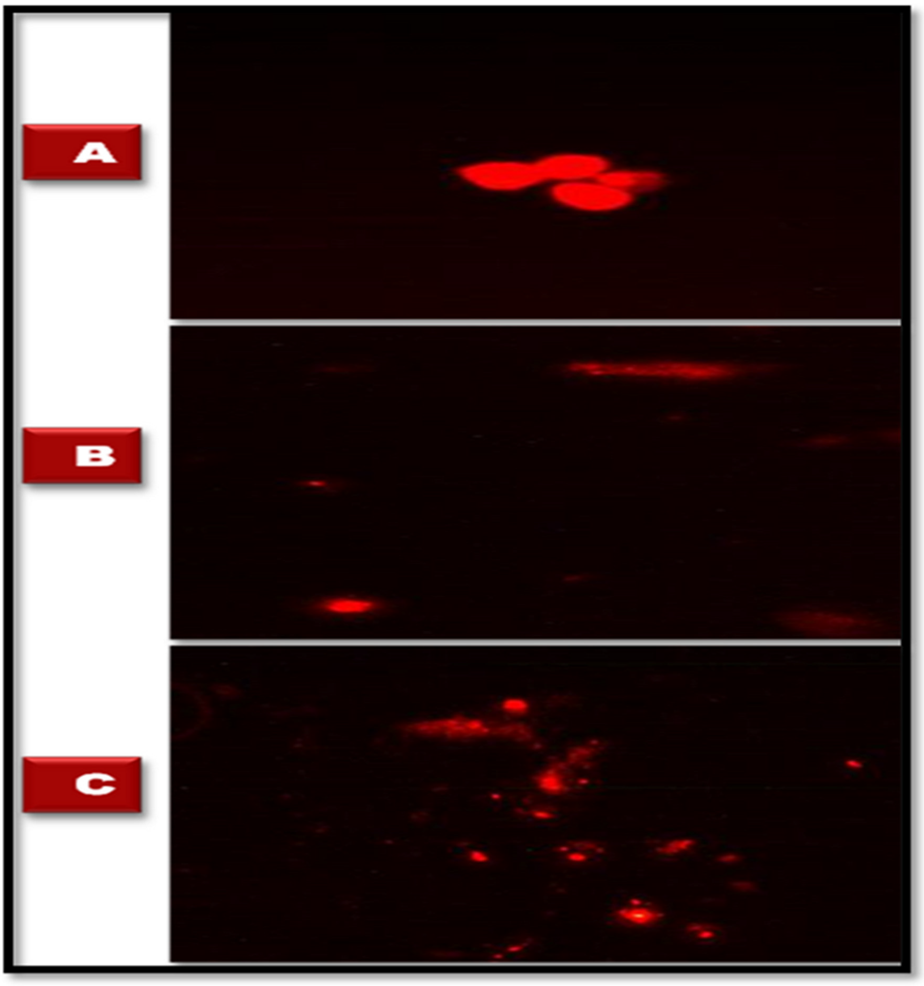 Jof 08 00262 g009 550