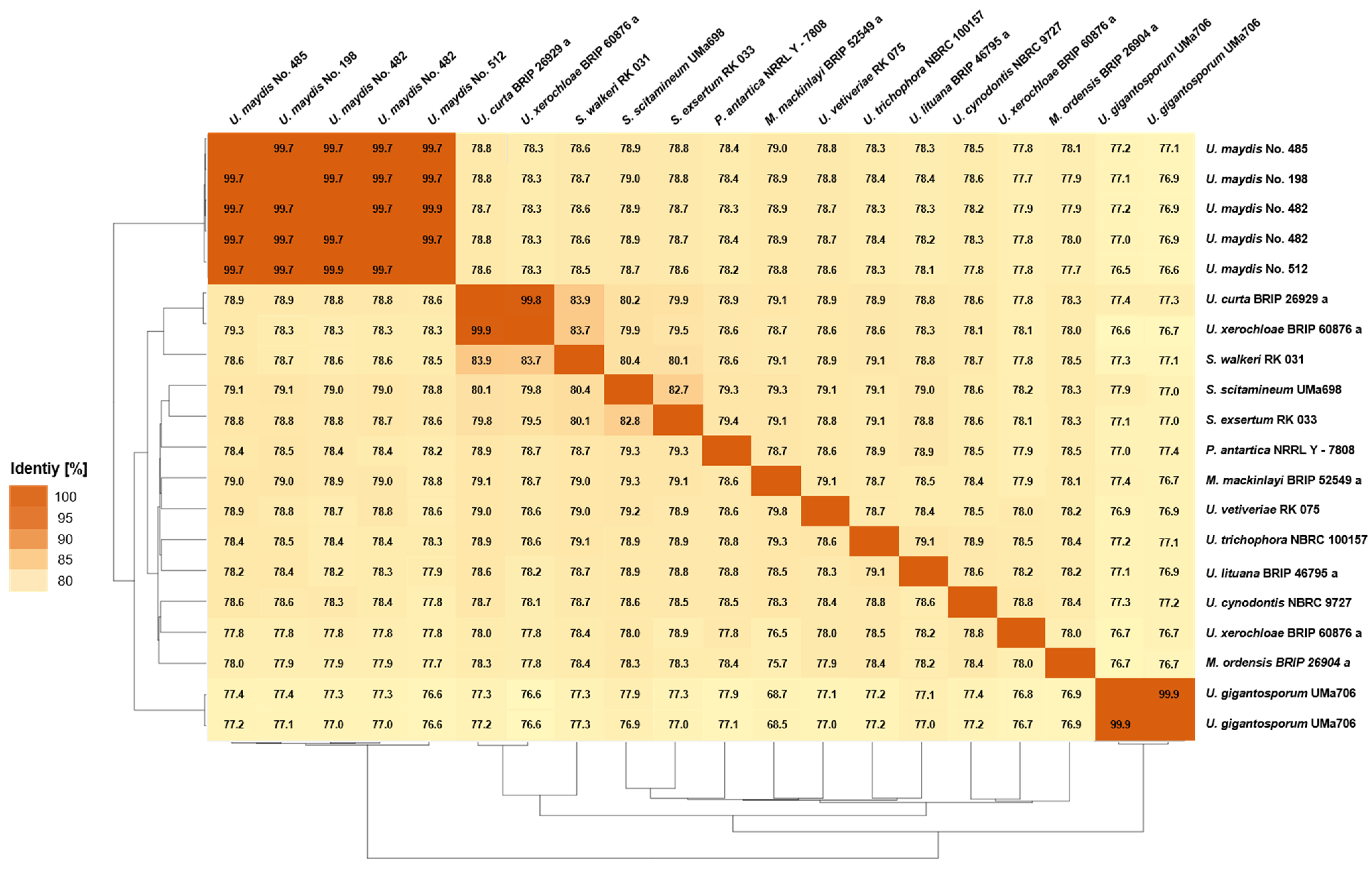 Jof 08 00269 g003 Jof 08 00269 g003