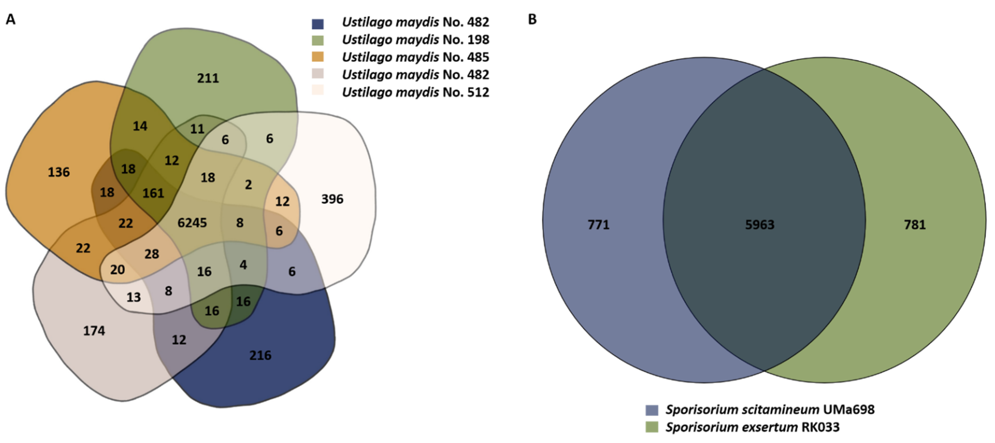 Jof 08 00269 g005 Jof 08 00269 g005