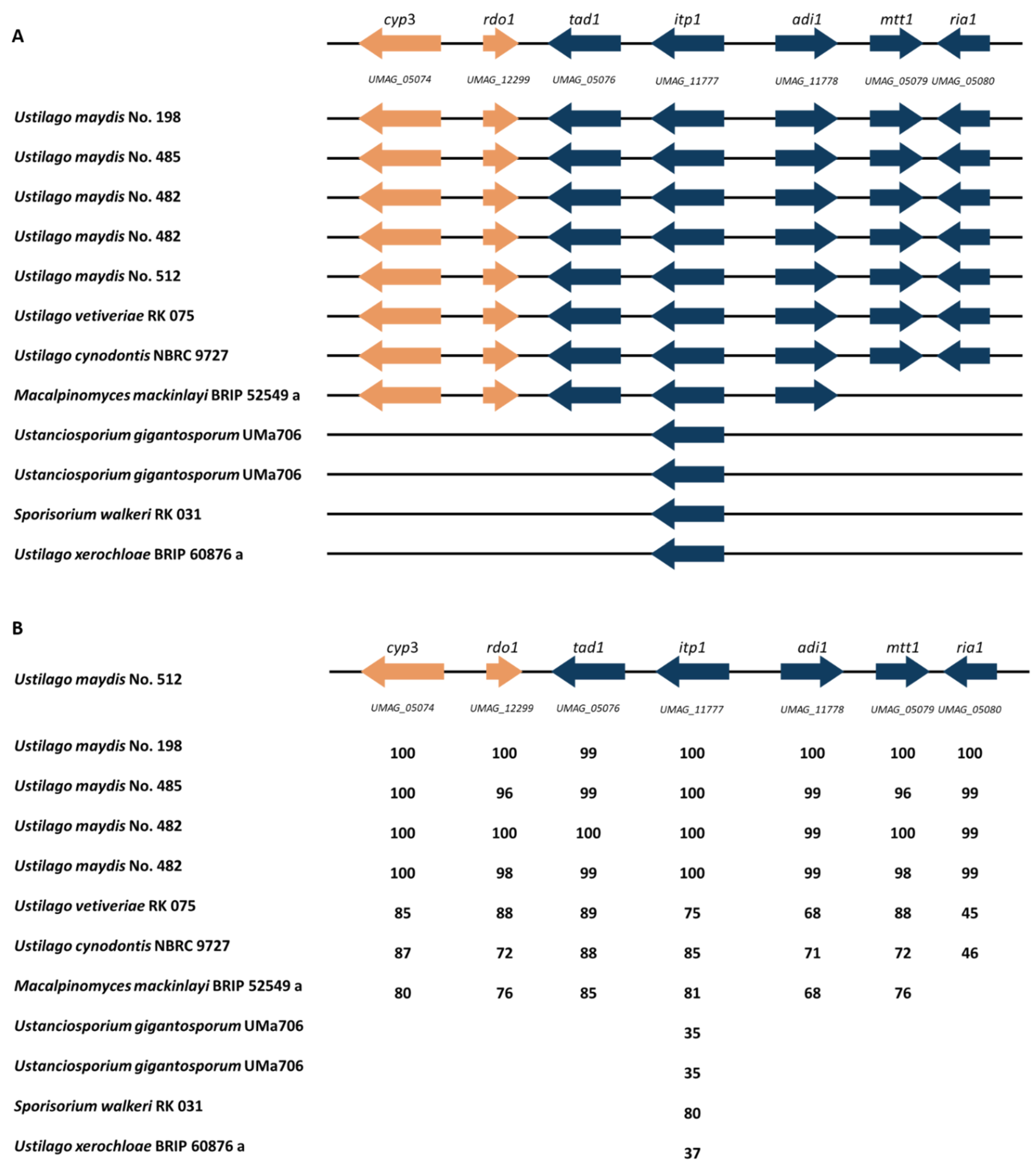 Jof 08 00269 g006 Jof 08 00269 g006
