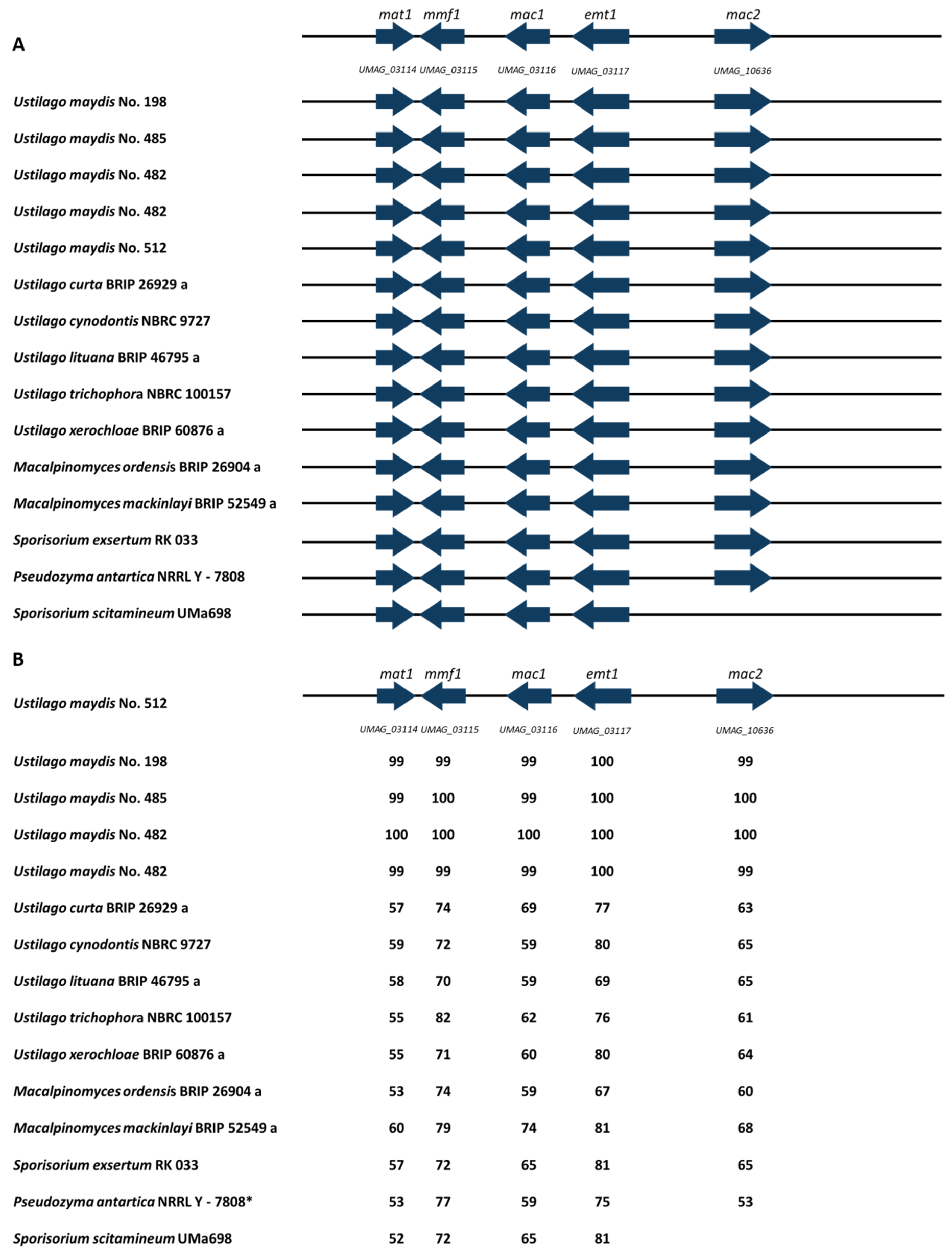 Jof 08 00269 g007 Jof 08 00269 g007