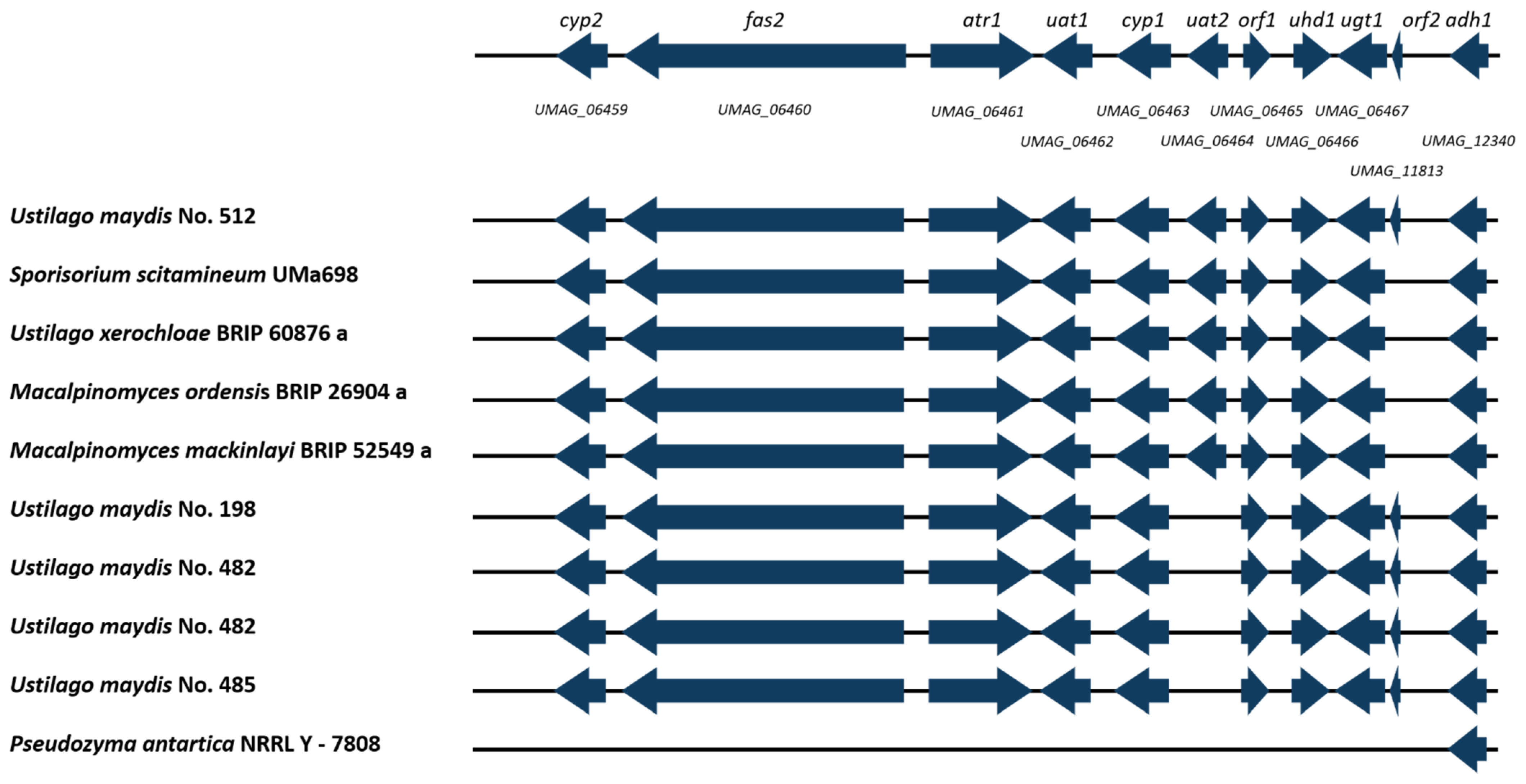 Jof 08 00269 g008 Jof 08 00269 g008