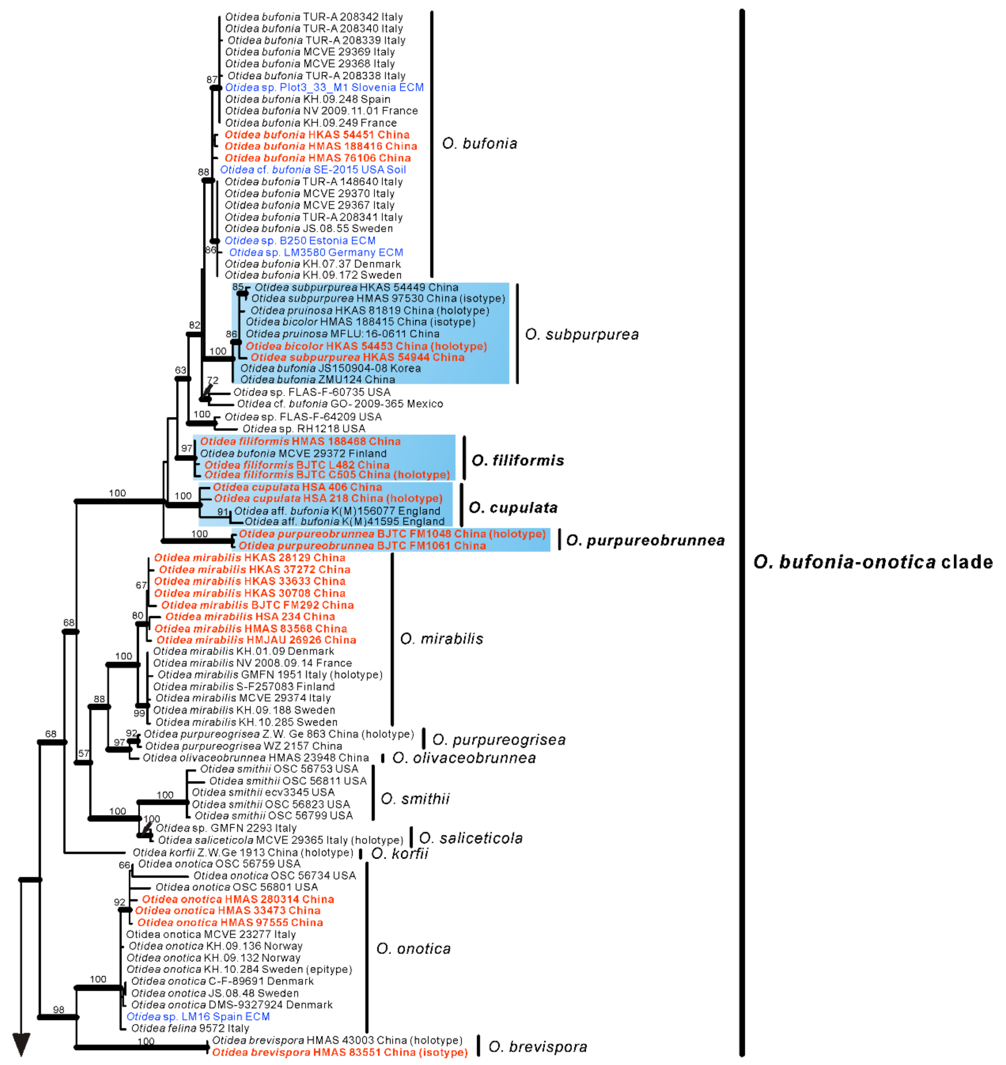 Jof 08 00272 g001a 550