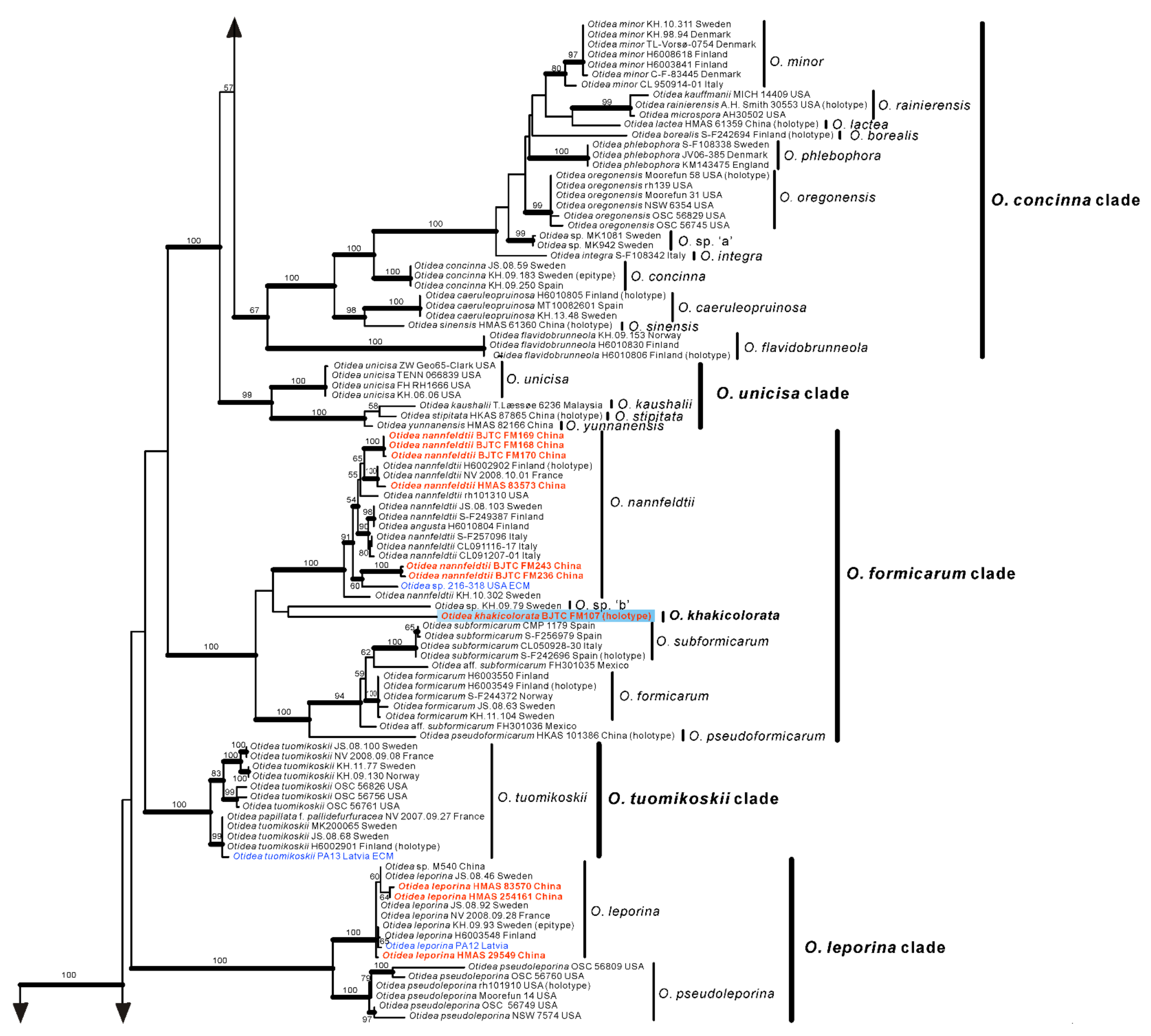 Jof 08 00272 g001b 550