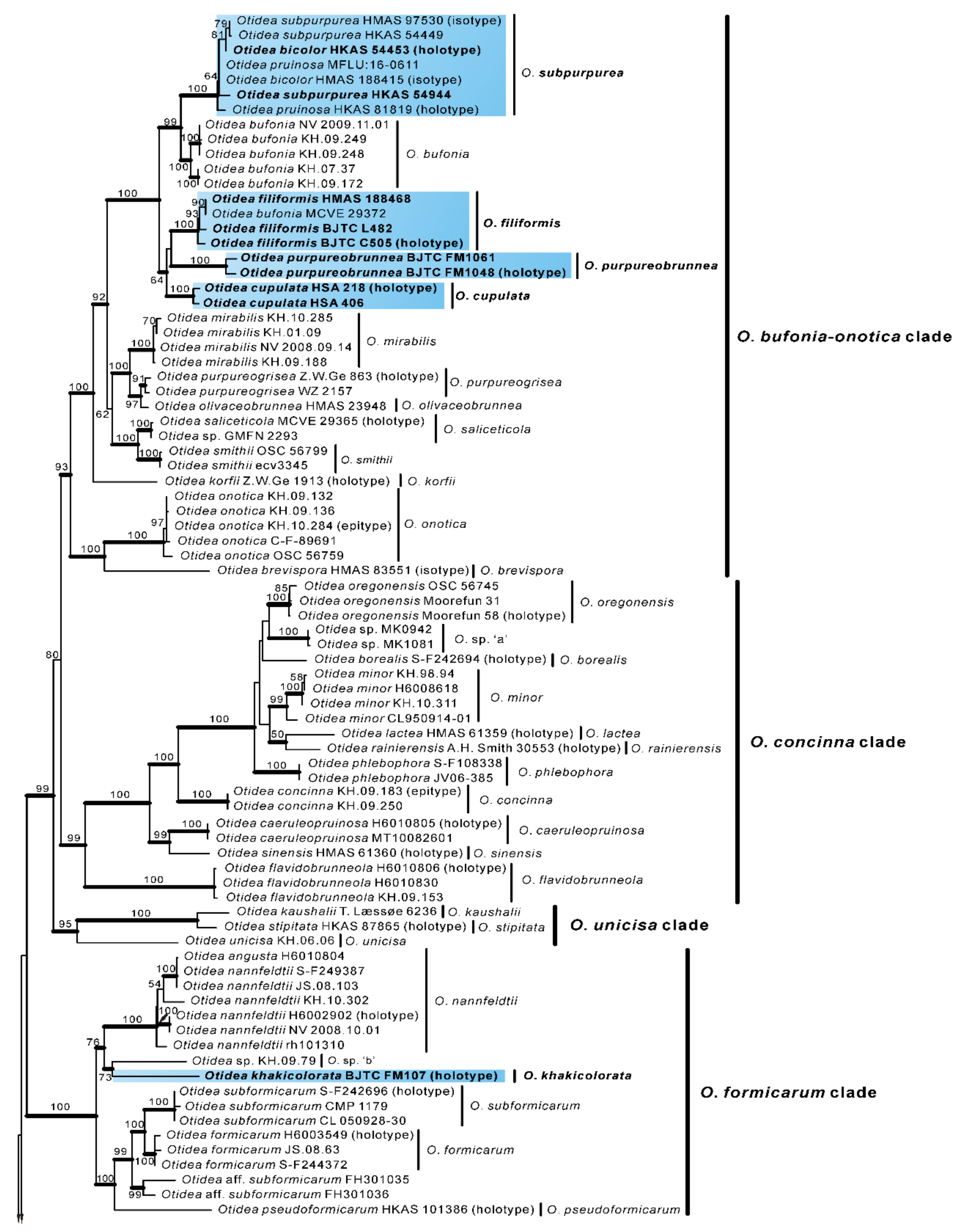 Jof 08 00272 g002a 550