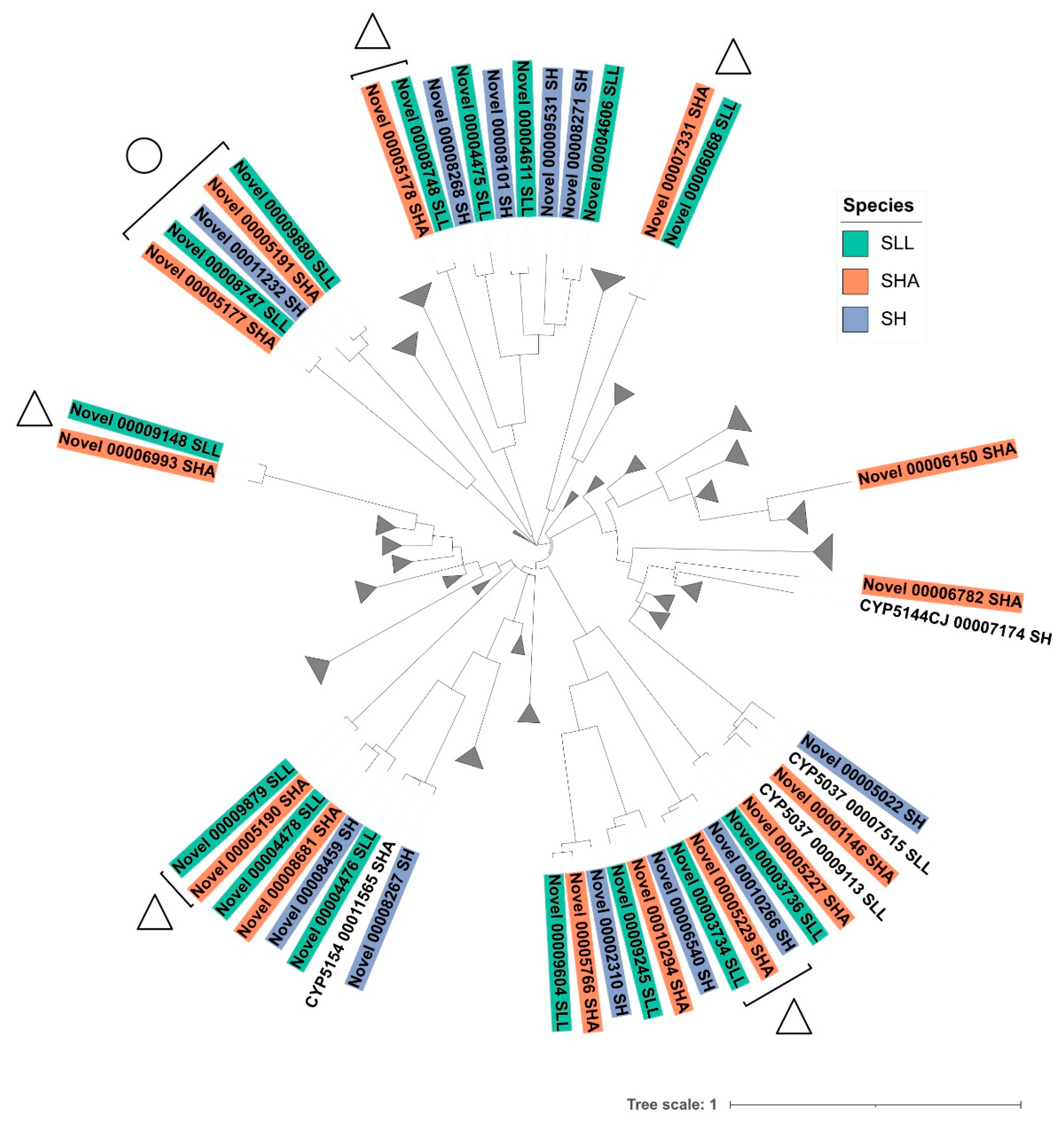 Jof 08 00283 g004 550