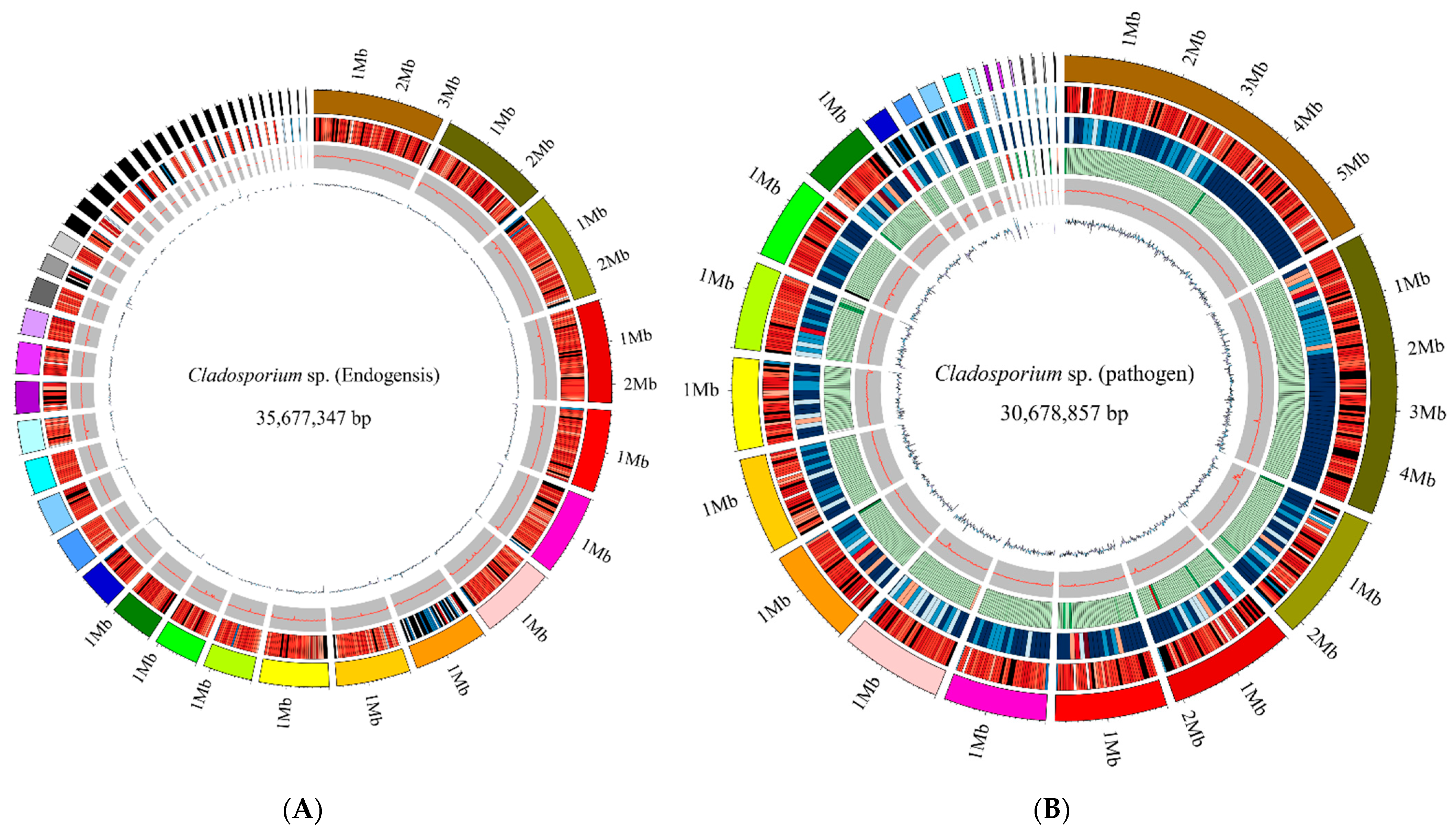 Jof 08 00286 g002 Jof 08 00286 g002