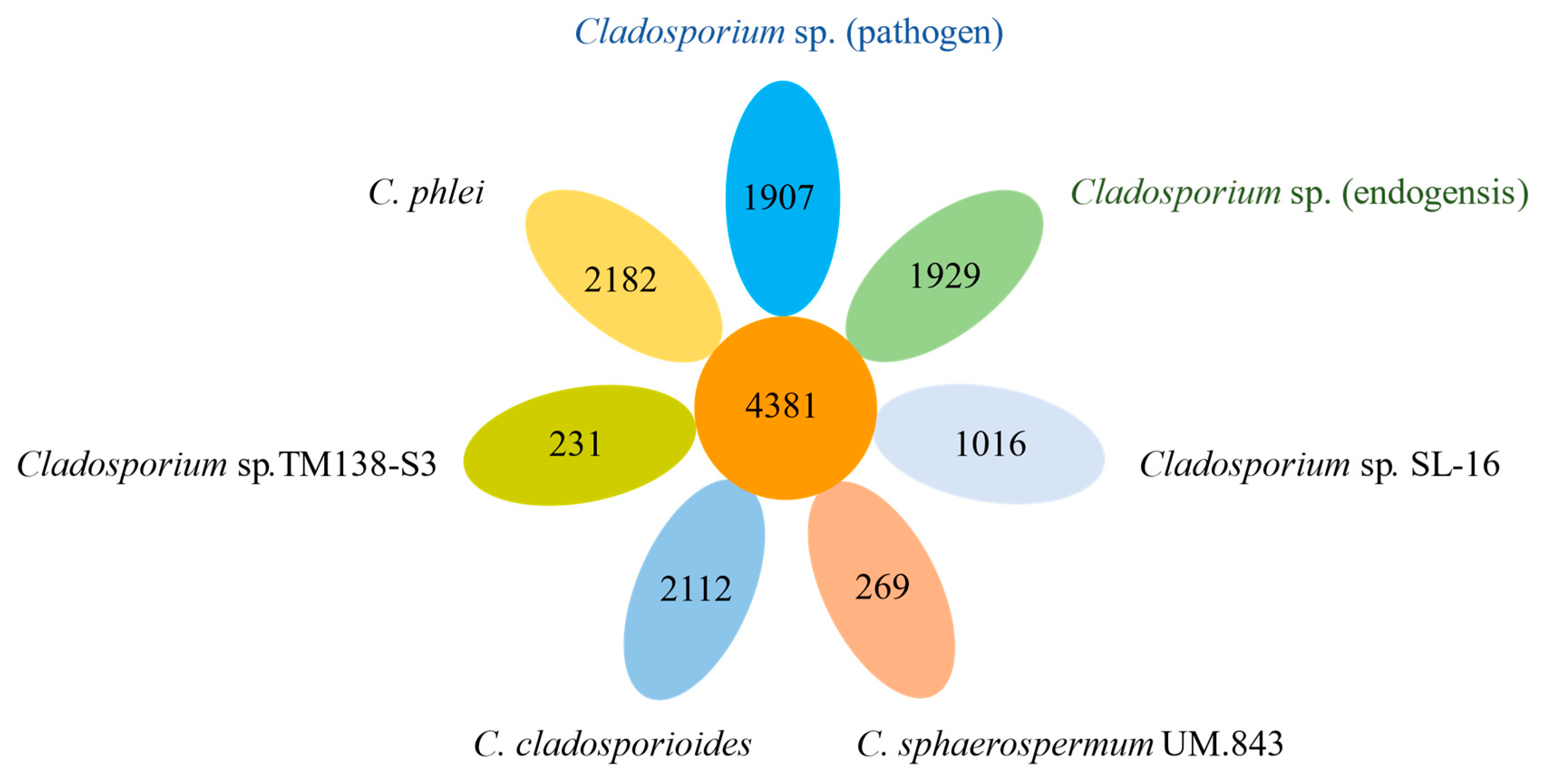 Jof 08 00286 g003 Jof 08 00286 g003