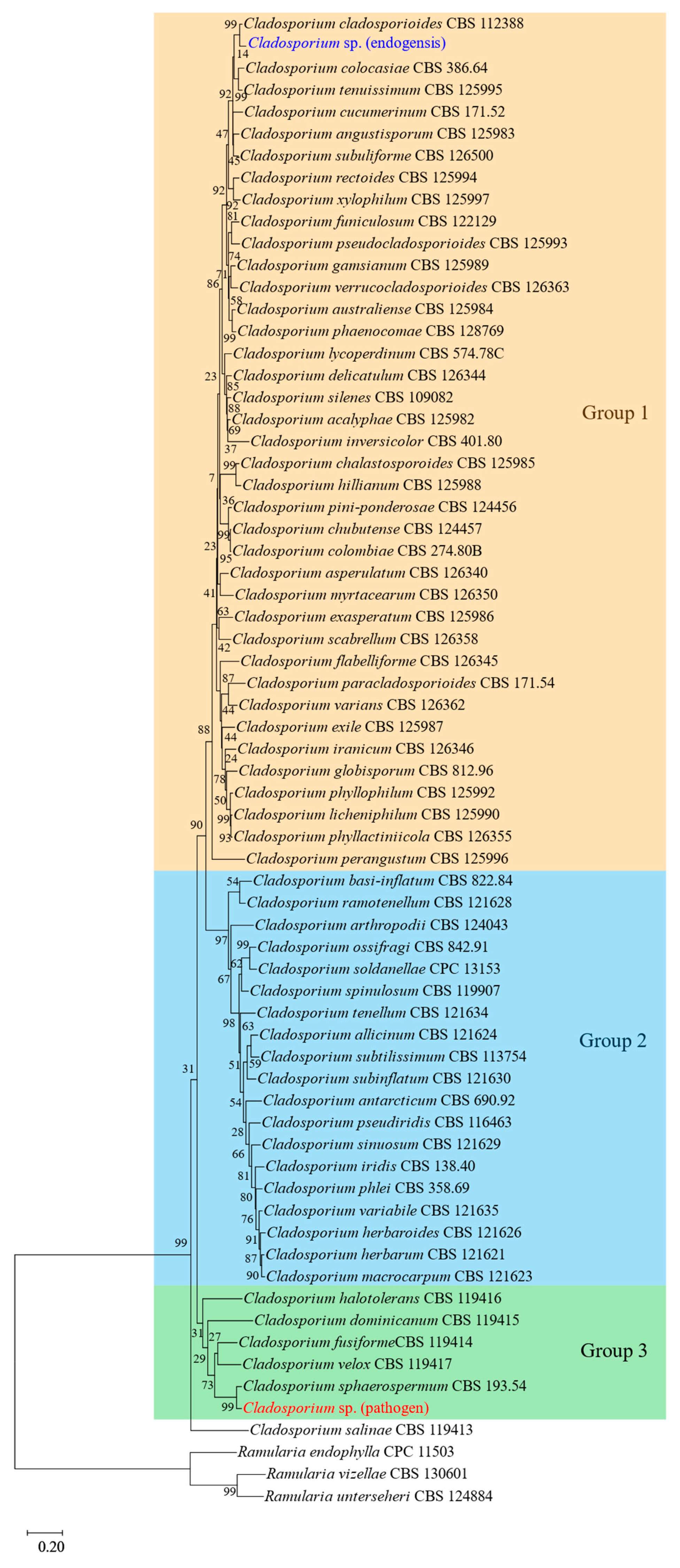 Jof 08 00286 g005 Jof 08 00286 g005
