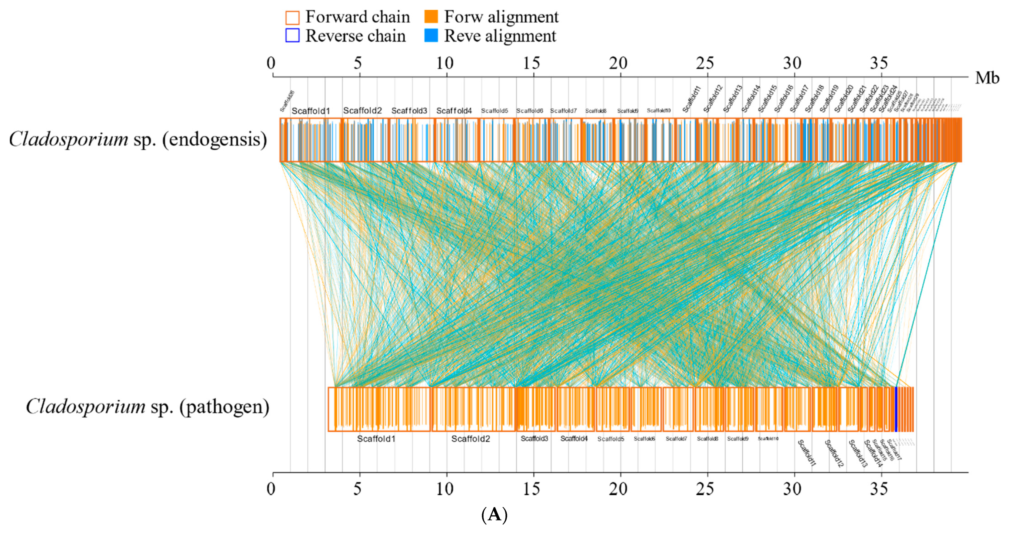 Jof 08 00286 g006a Jof 08 00286 g006a