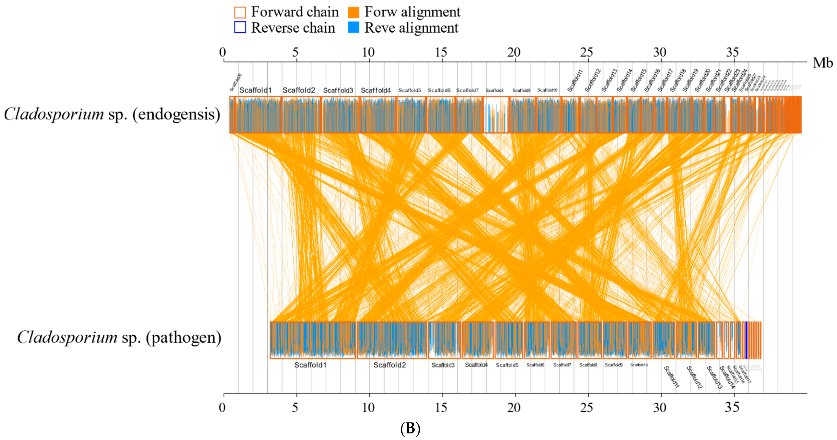 Jof 08 00286 g006b Jof 08 00286 g006b