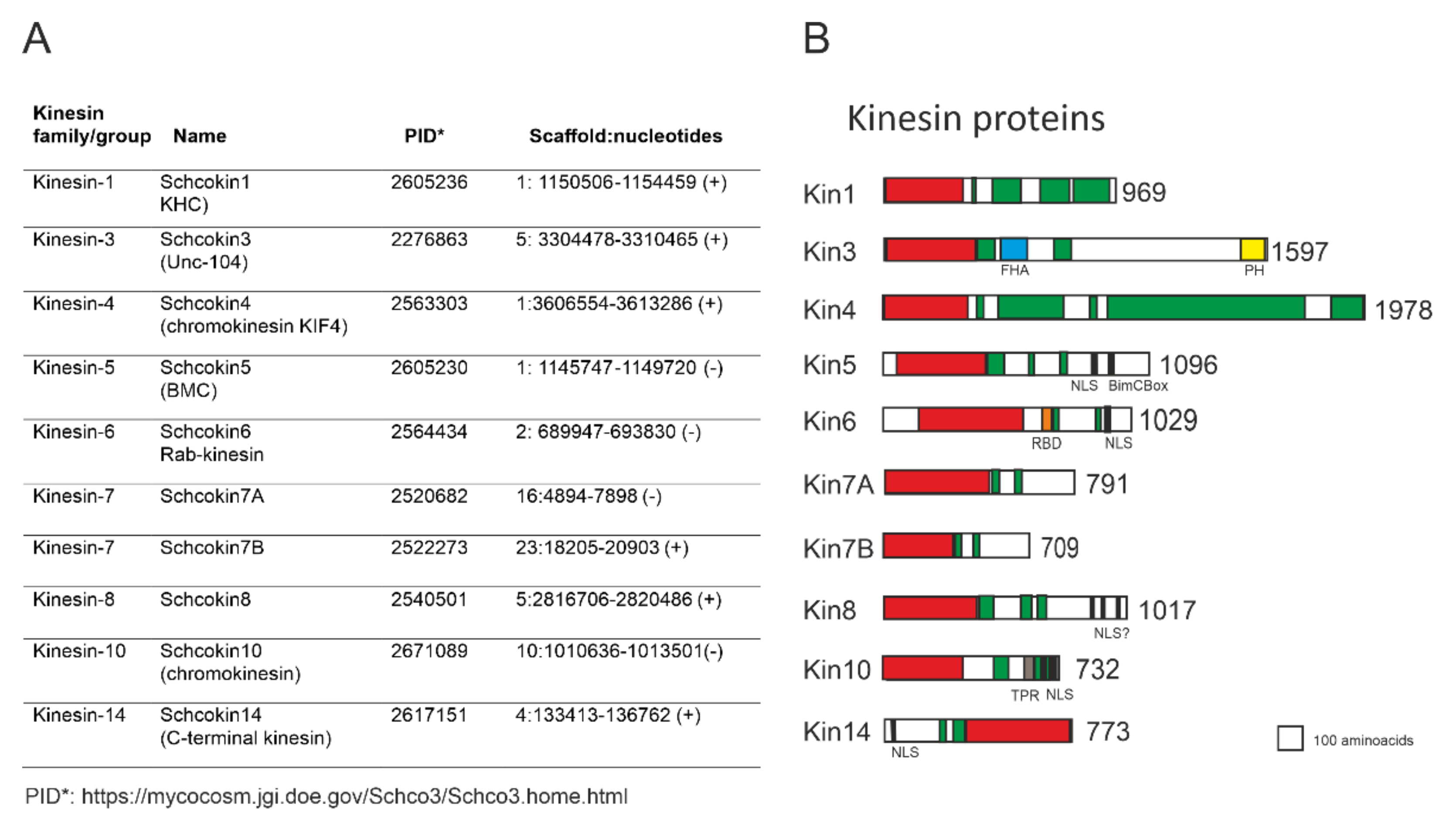 Jof 08 00294 g001 Jof 08 00294 g001