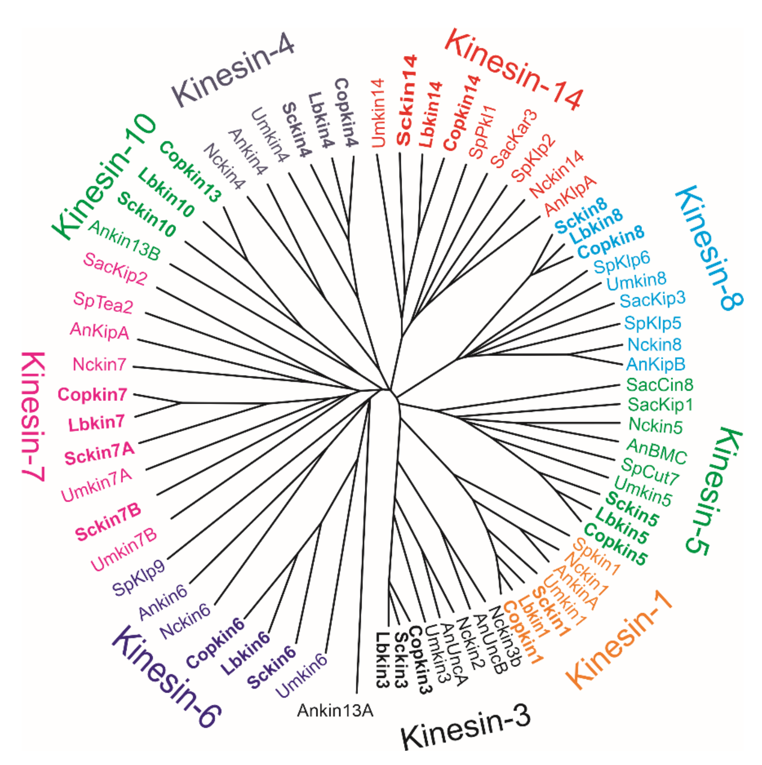 Jof 08 00294 g002 Jof 08 00294 g002