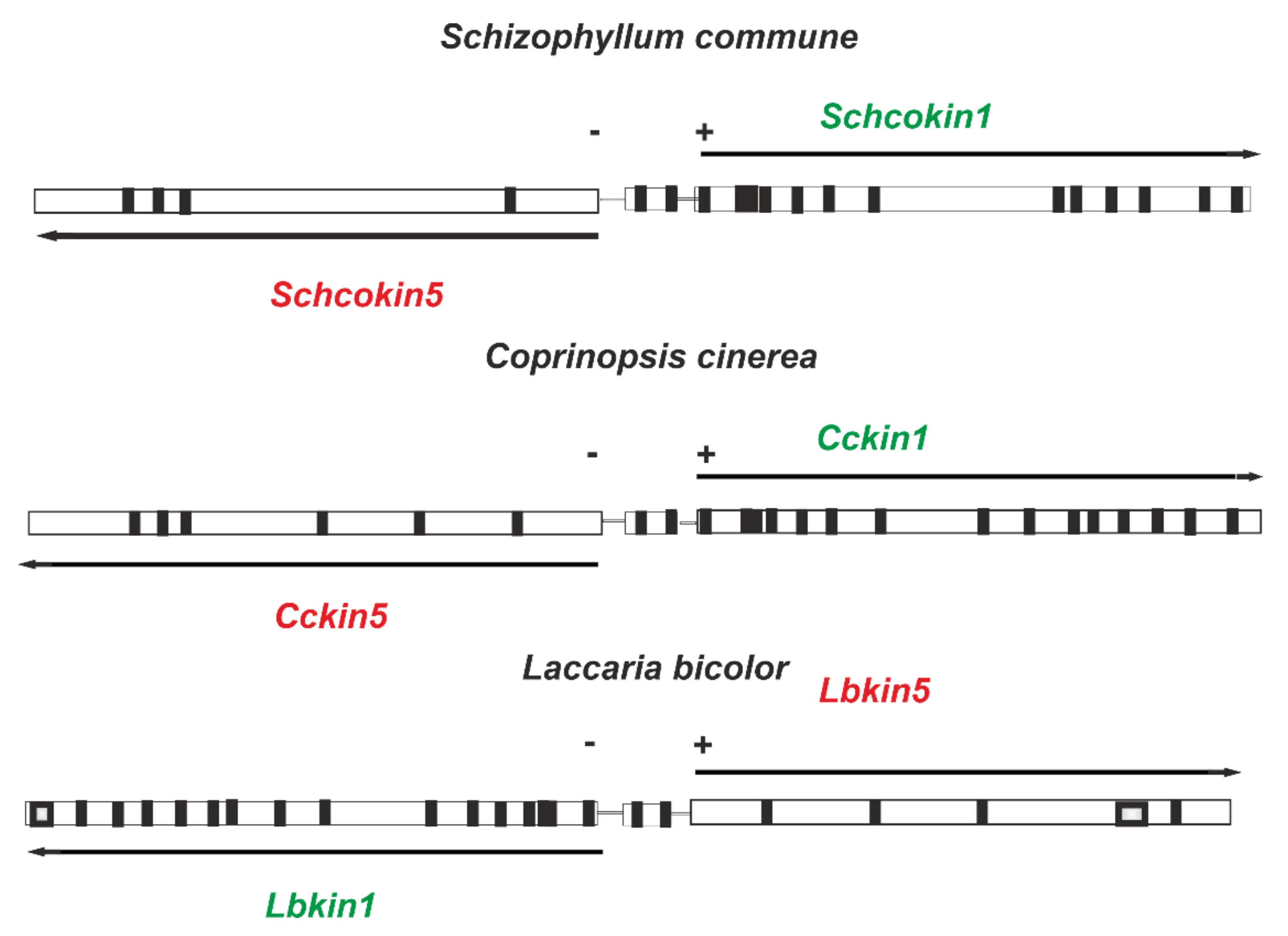 Jof 08 00294 g003 Jof 08 00294 g003