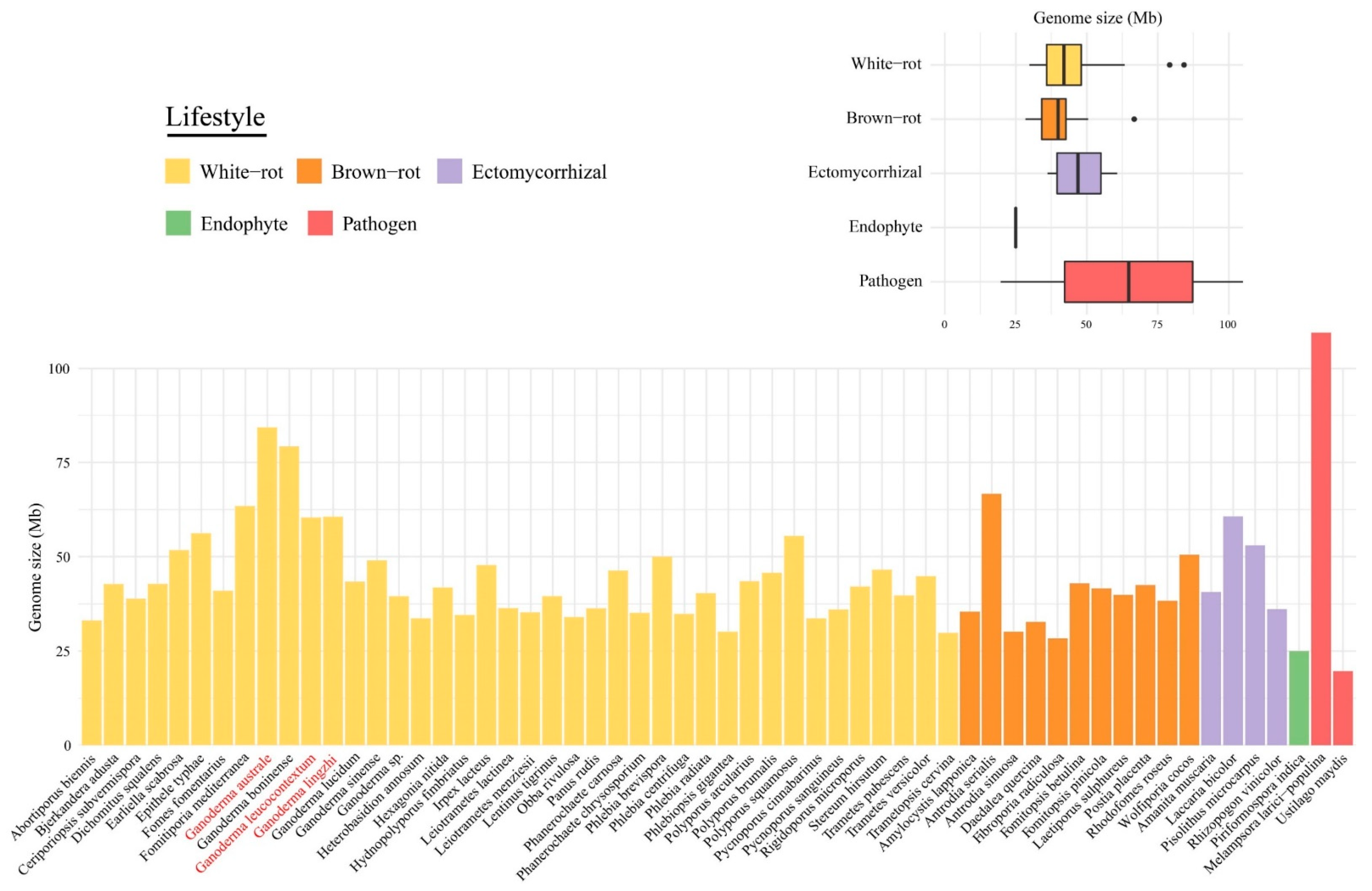 Jof 08 00311 g001 Jof 08 00311 g001