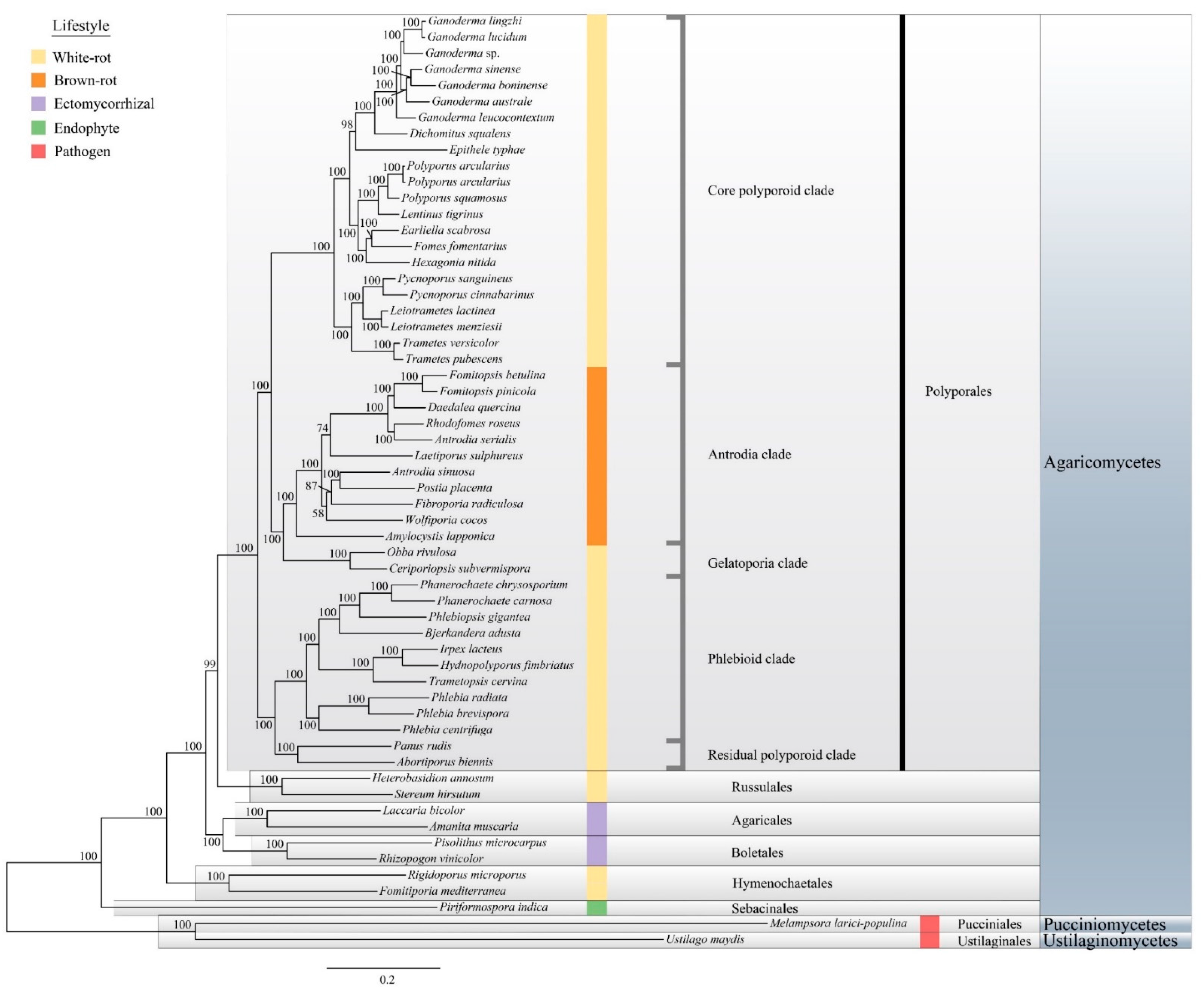 Jof 08 00311 g003 Jof 08 00311 g003