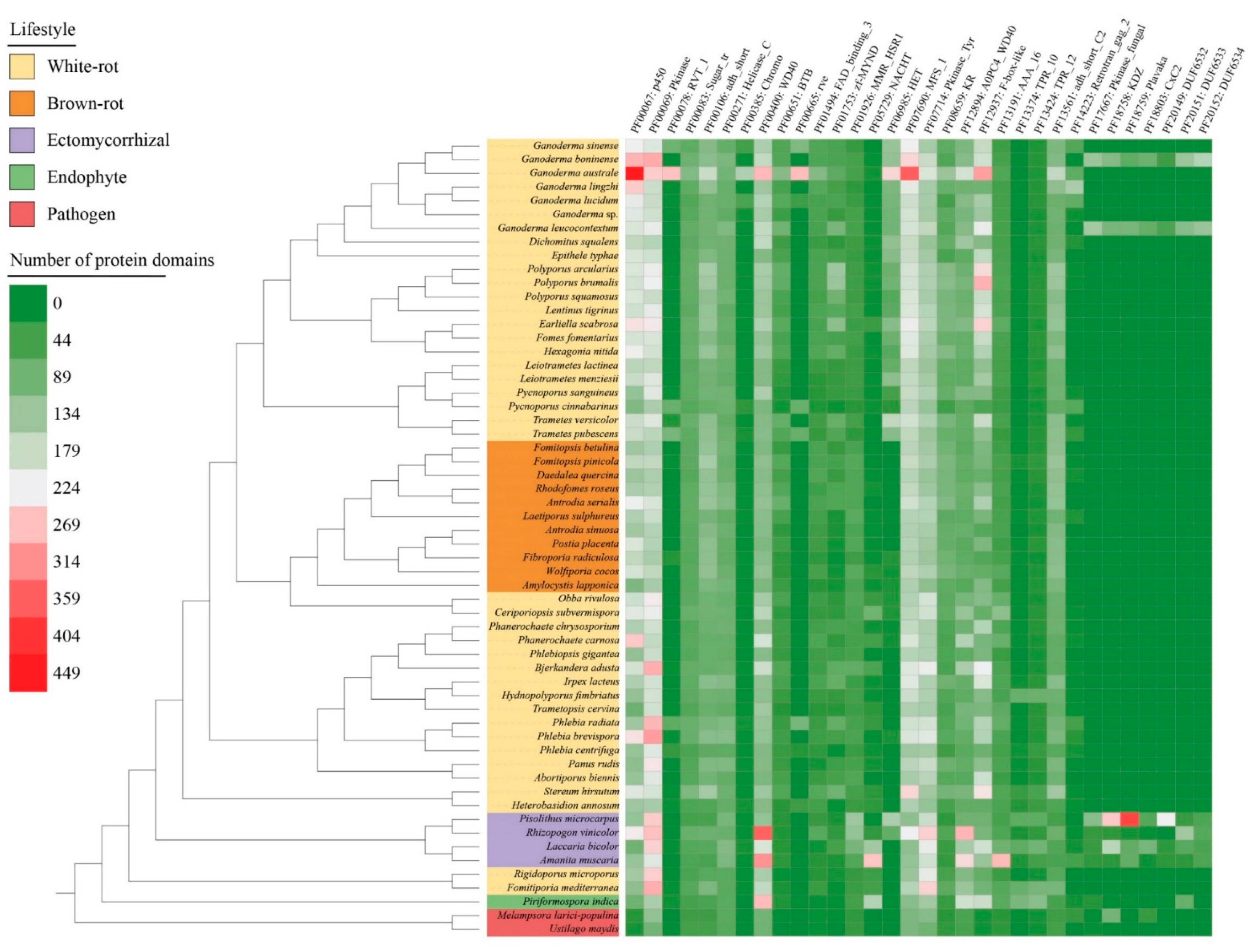 Jof 08 00311 g006 Jof 08 00311 g006