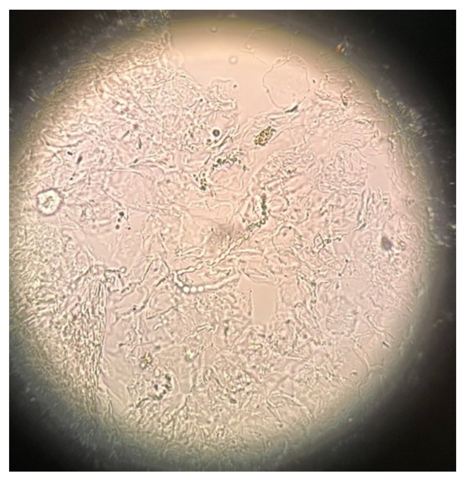 Jof 08 00312 g003 550