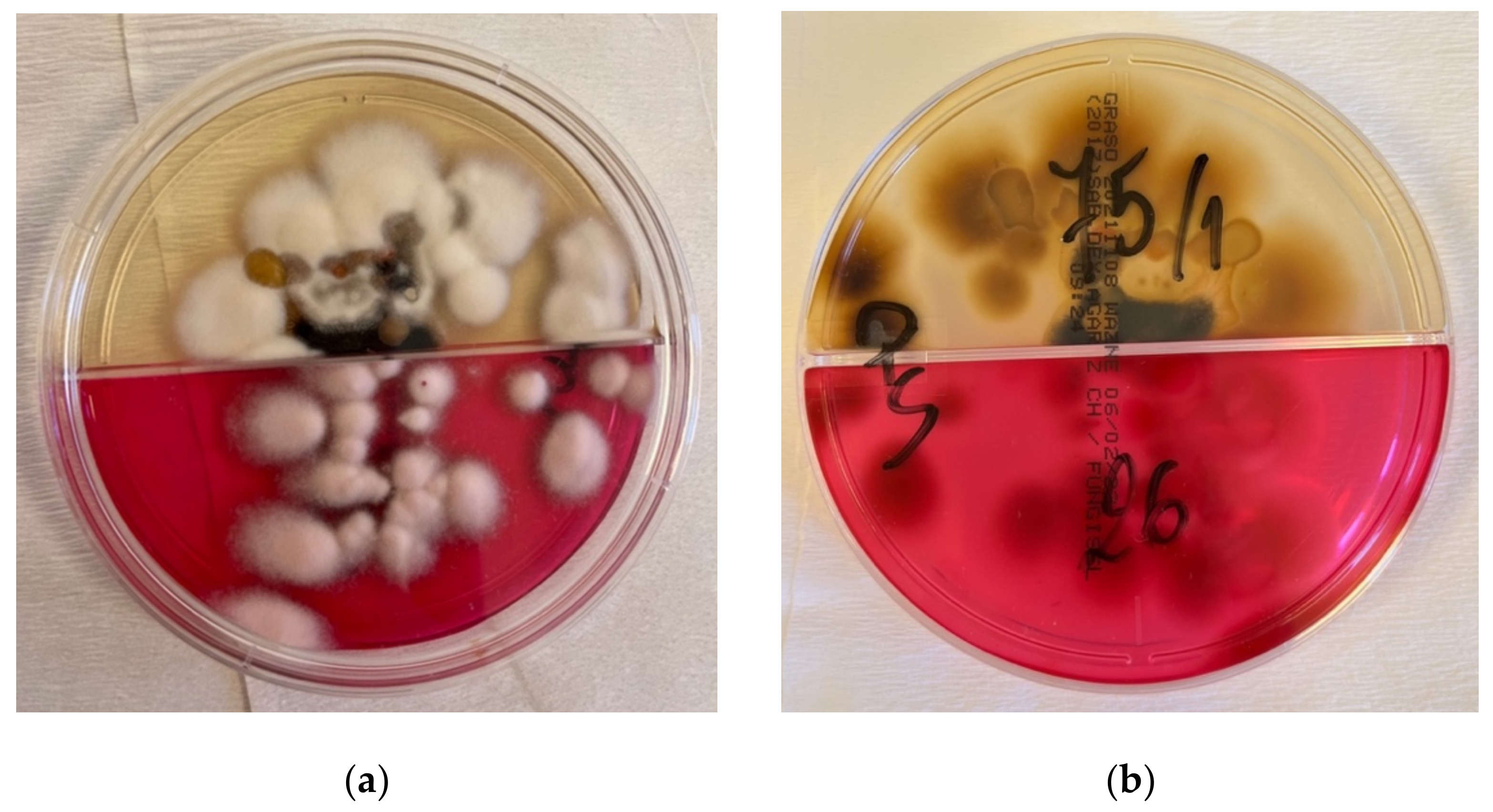 Jof 08 00312 g004 550