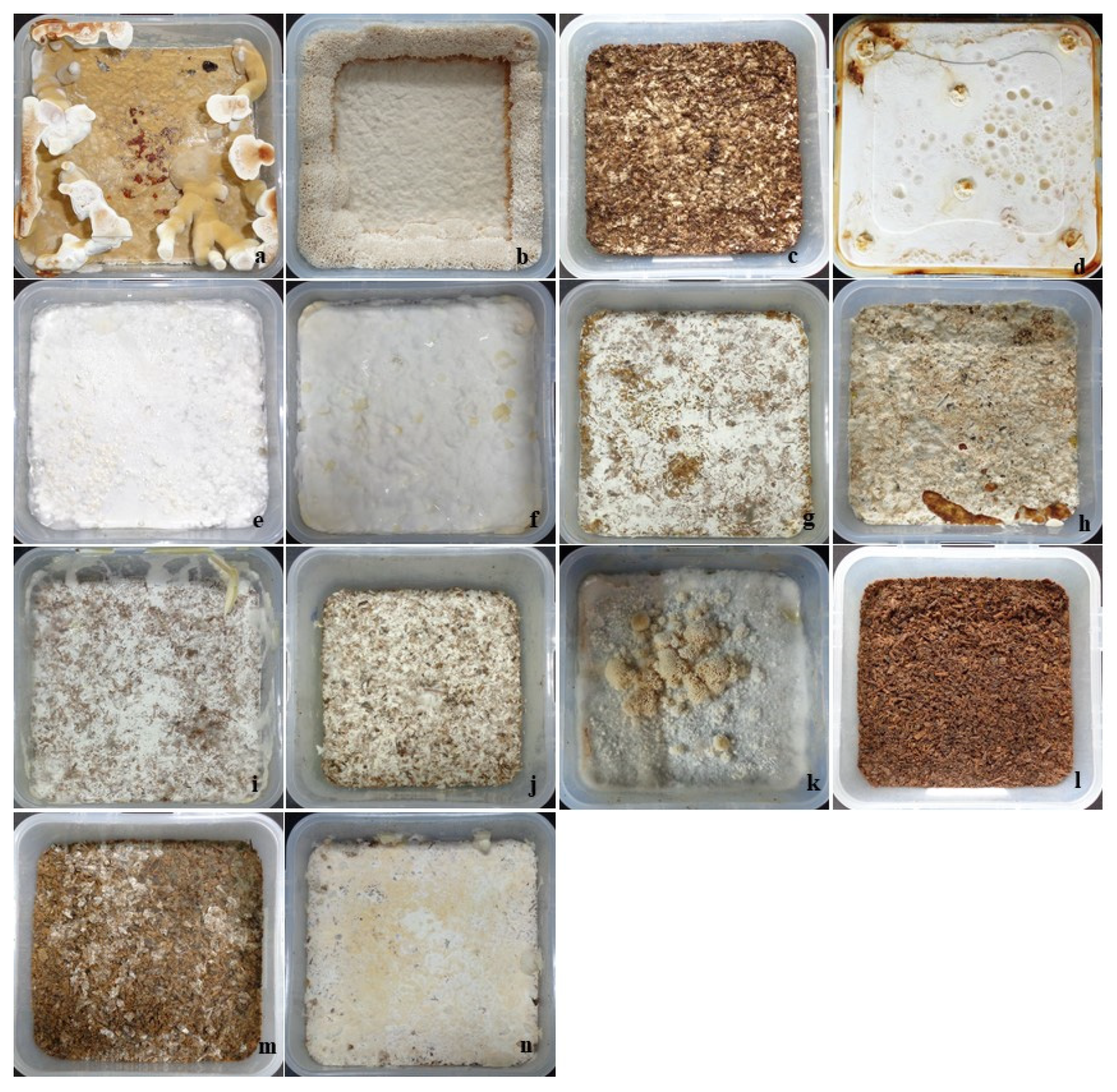 Jof 08 00317 g002 550