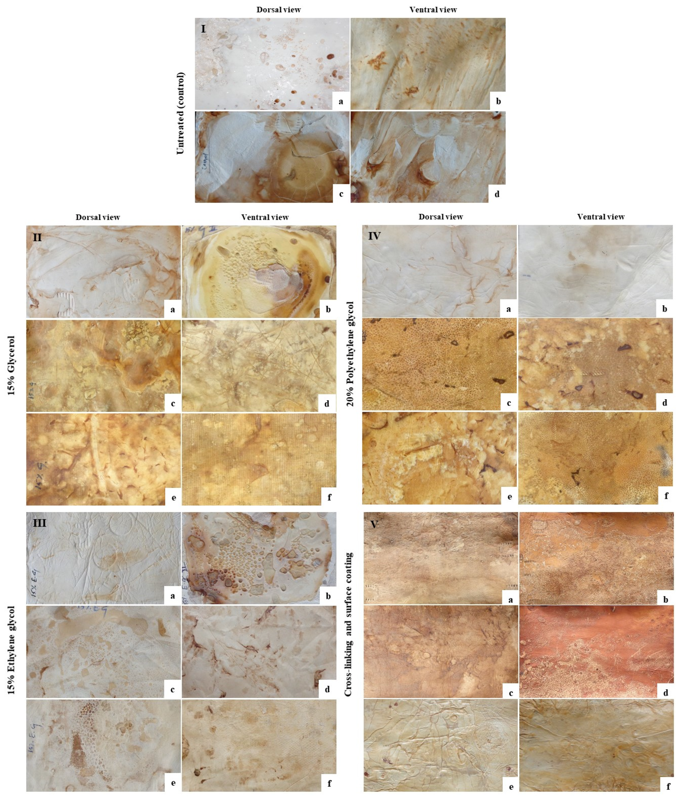 Jof 08 00317 g003 550