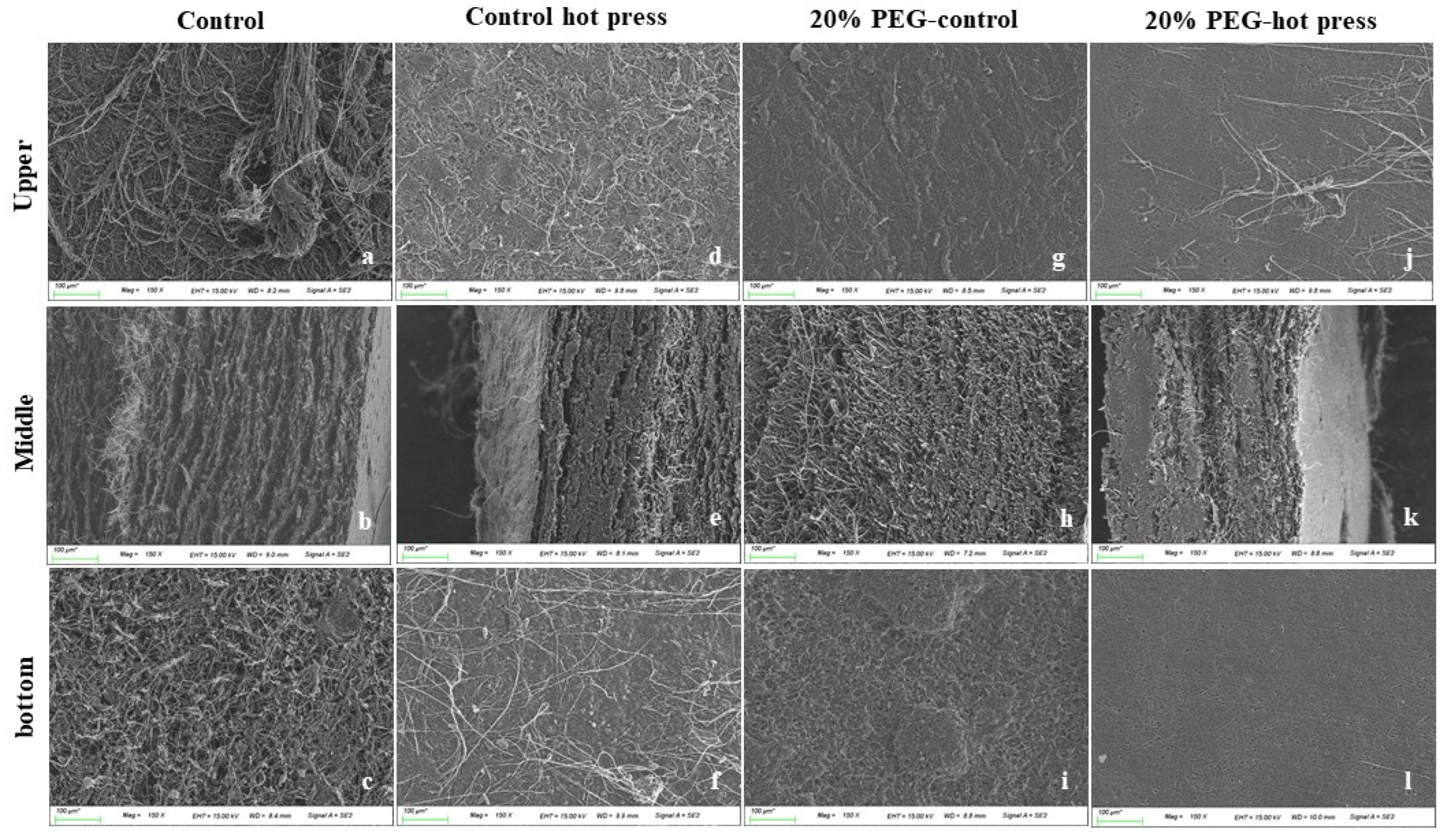 Jof 08 00317 g004 550