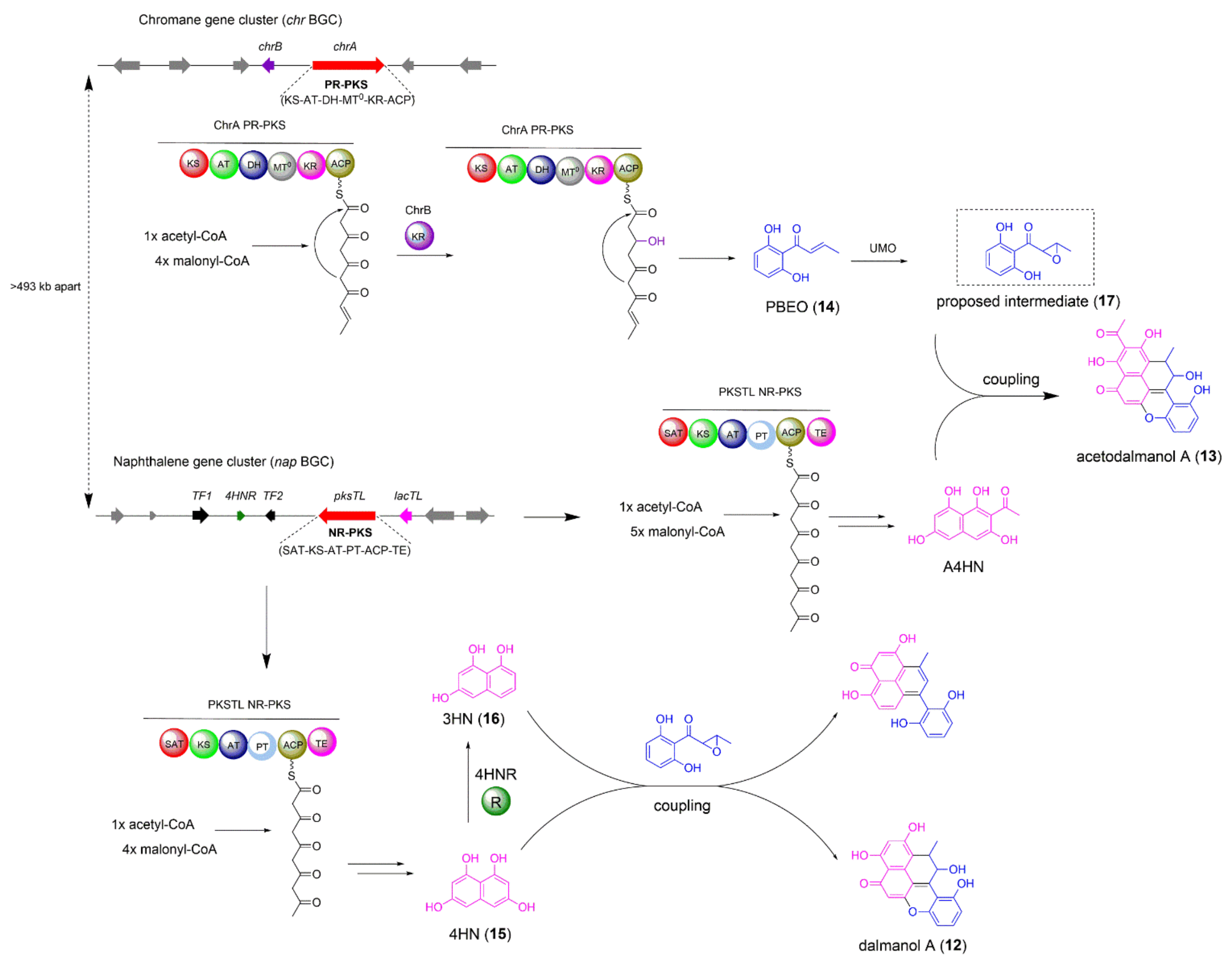 Jof 08 00320 g002 550