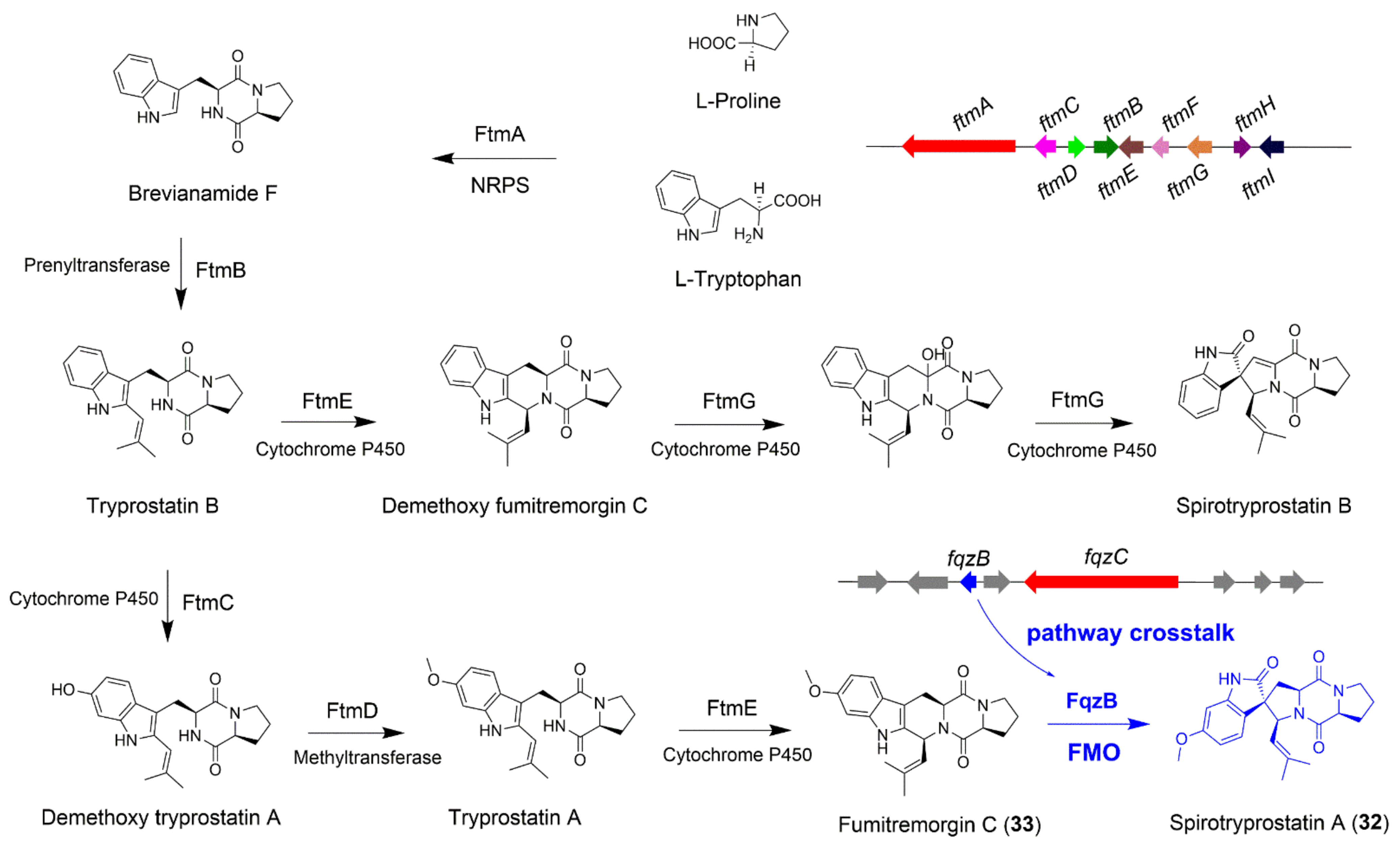 Jof 08 00320 g005 550