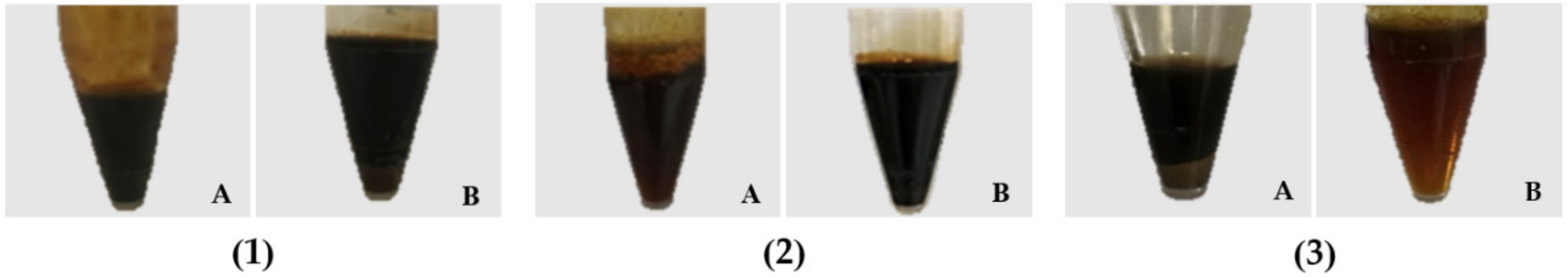 Jof 08 00327 g001 550