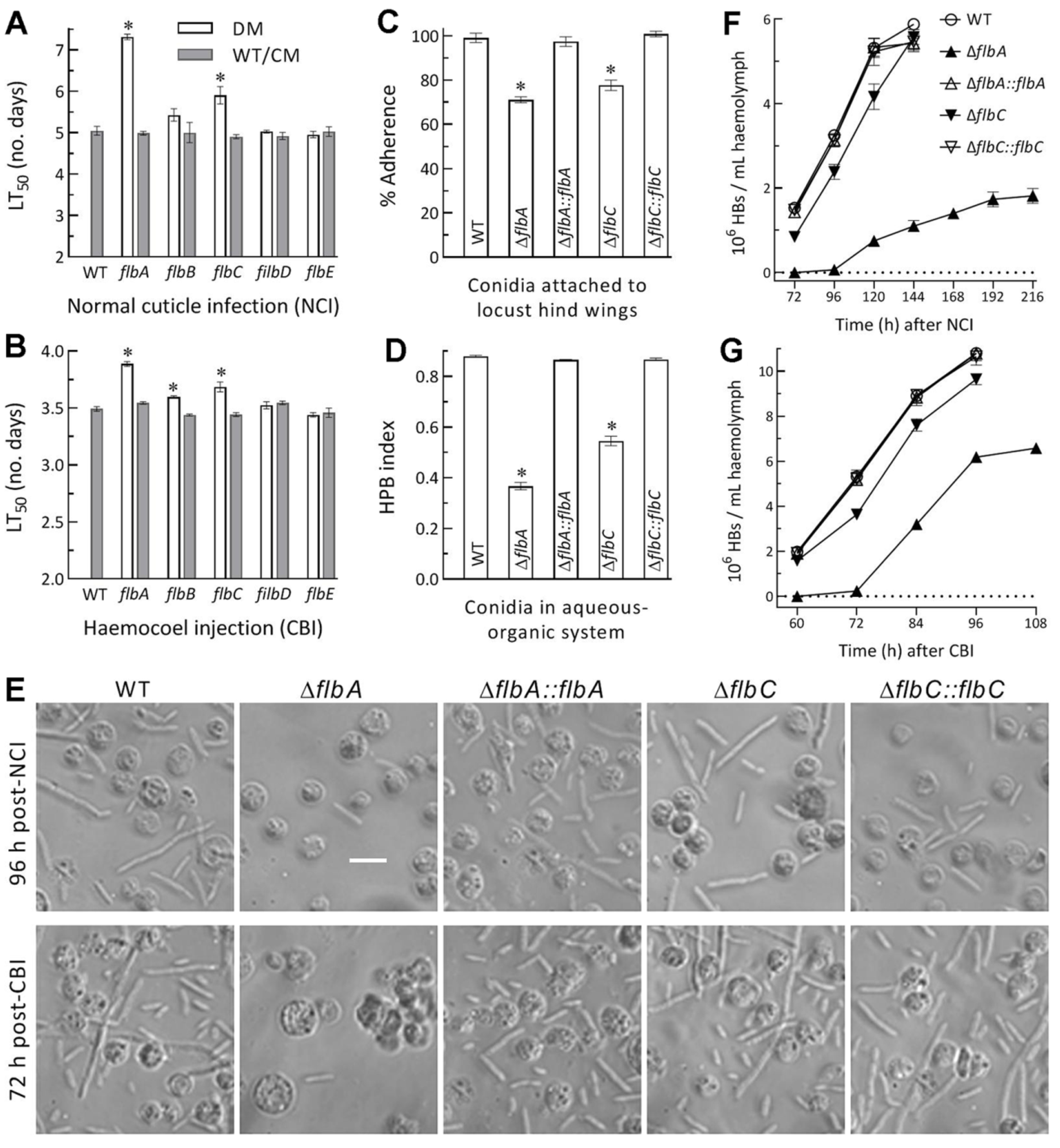 Jof 08 00334 g004 Jof 08 00334 g004