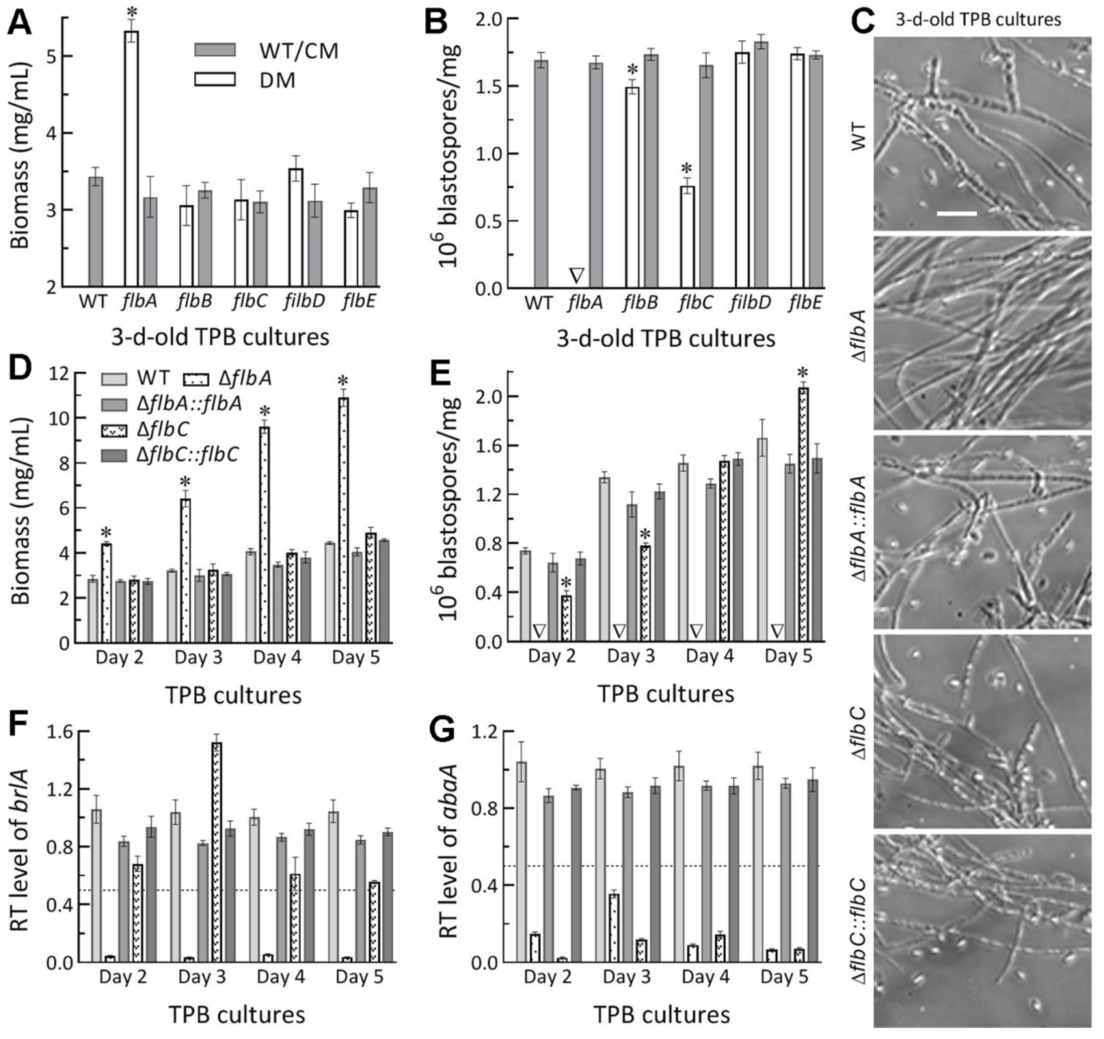 Jof 08 00334 g005 Jof 08 00334 g005