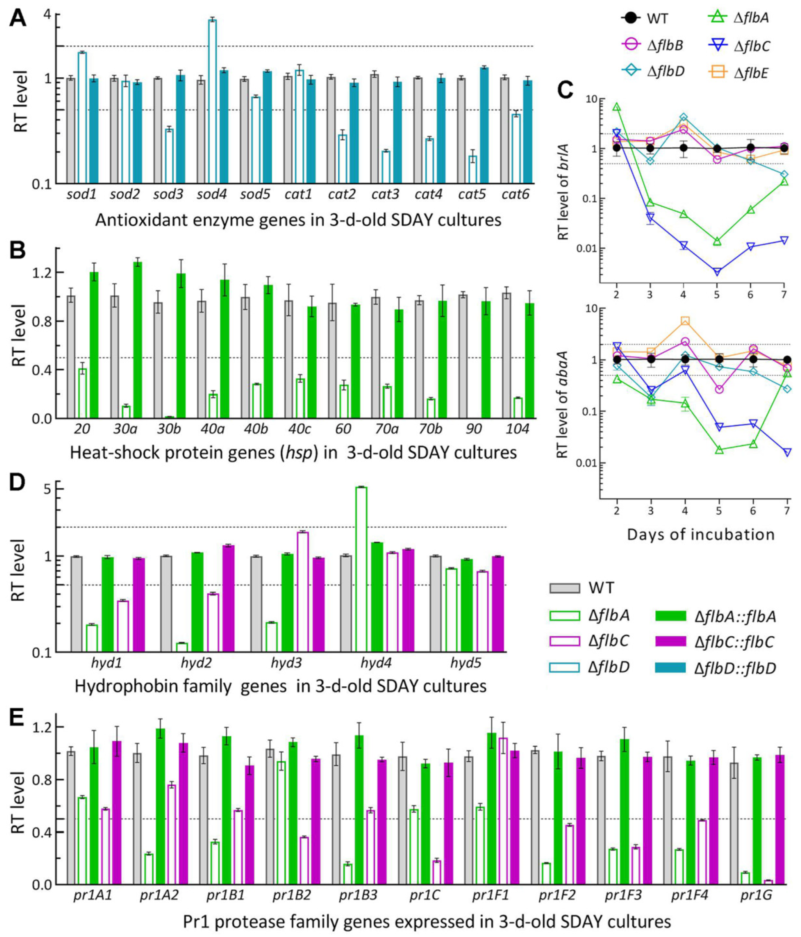 Jof 08 00334 g006 Jof 08 00334 g006