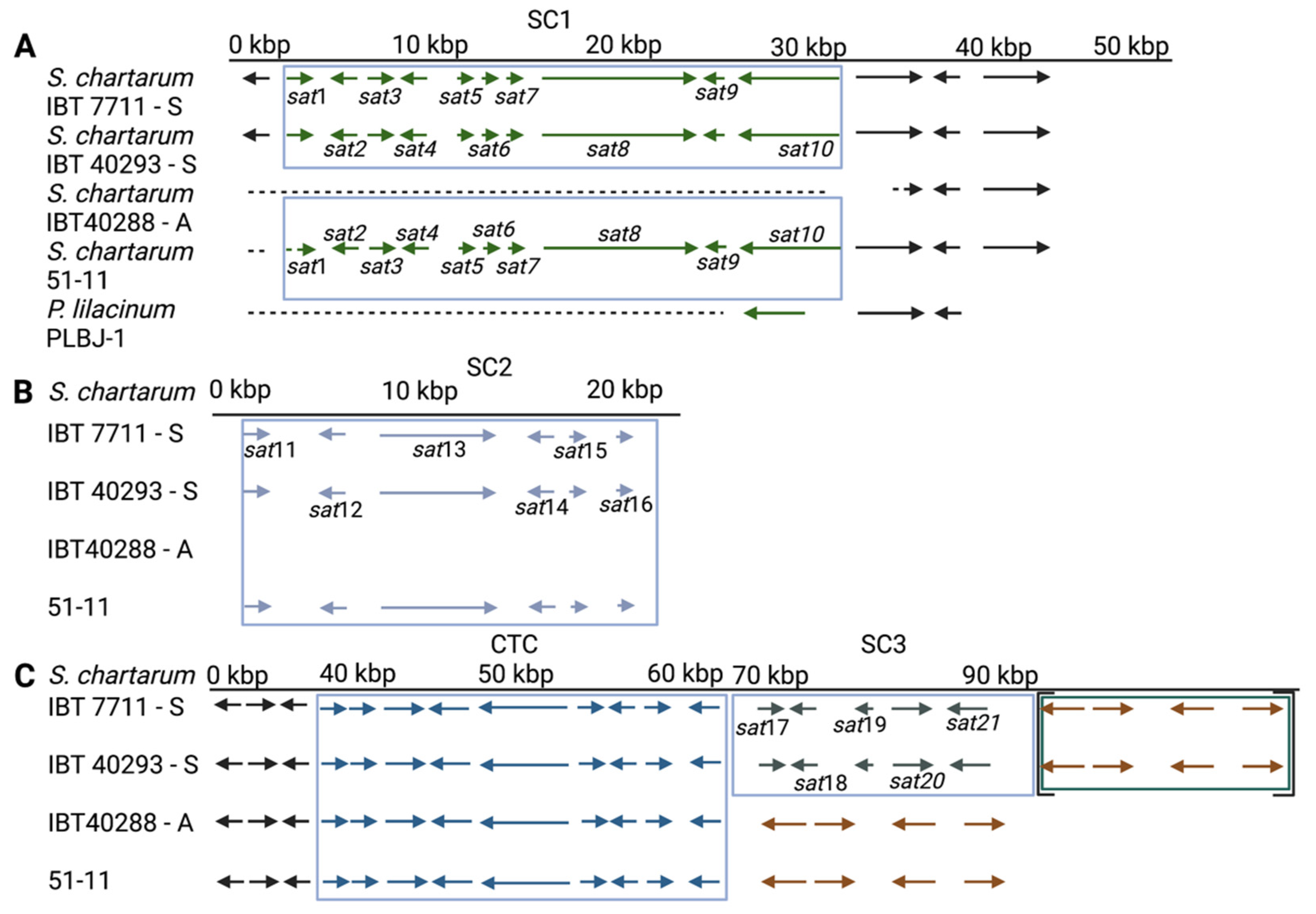 Jof 08 00340 g001 Jof 08 00340 g001