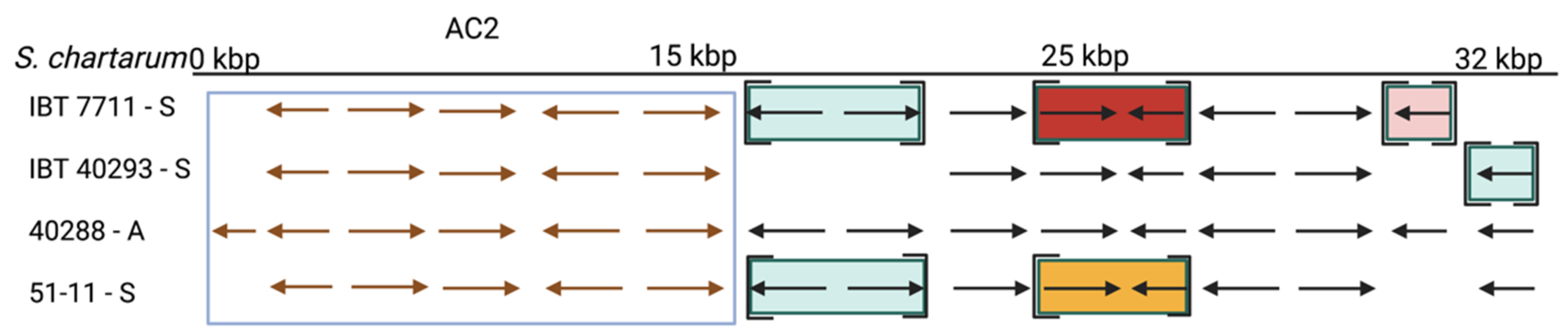 Jof 08 00340 g006 Jof 08 00340 g006