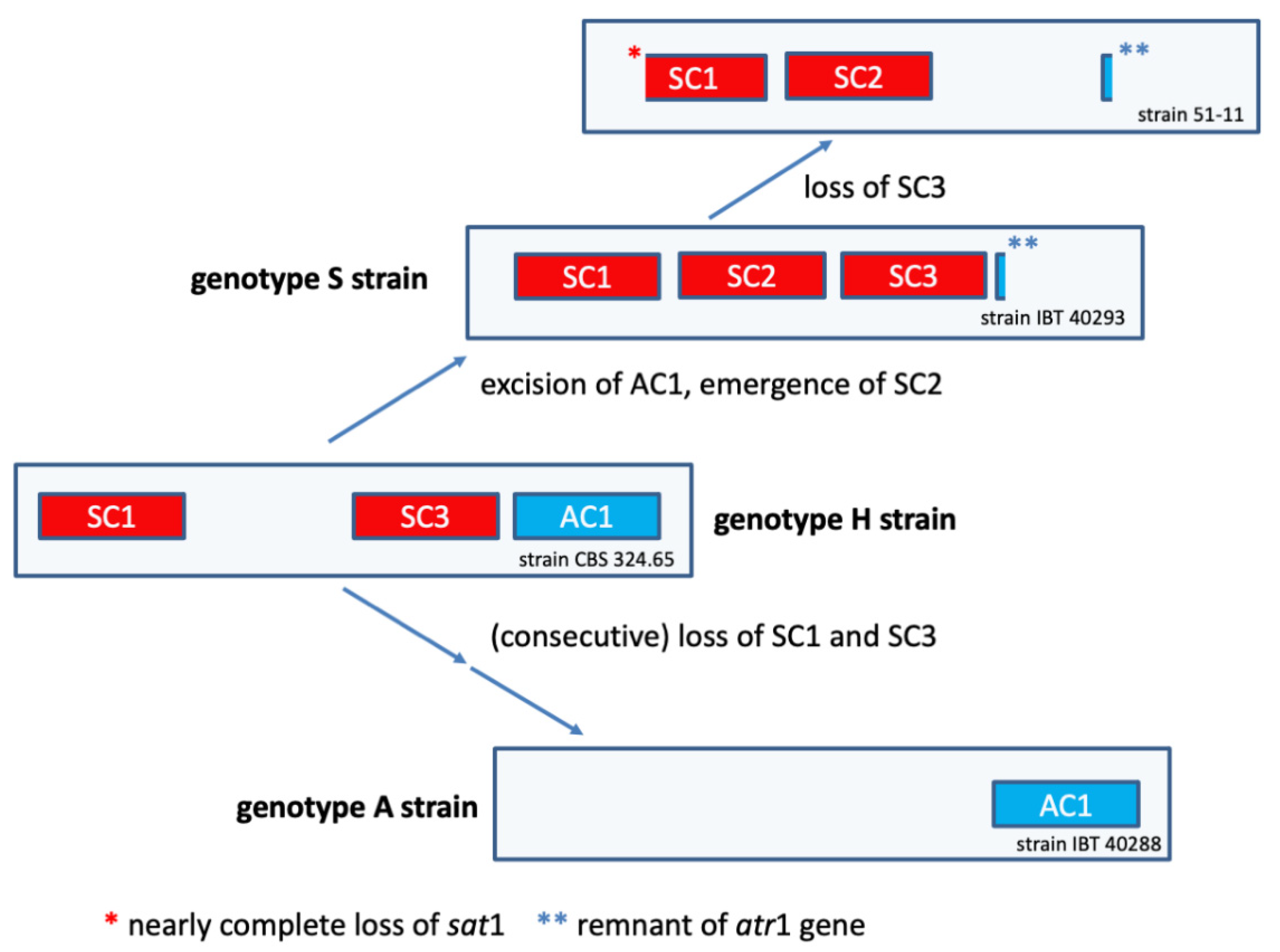 Jof 08 00340 g007 Jof 08 00340 g007